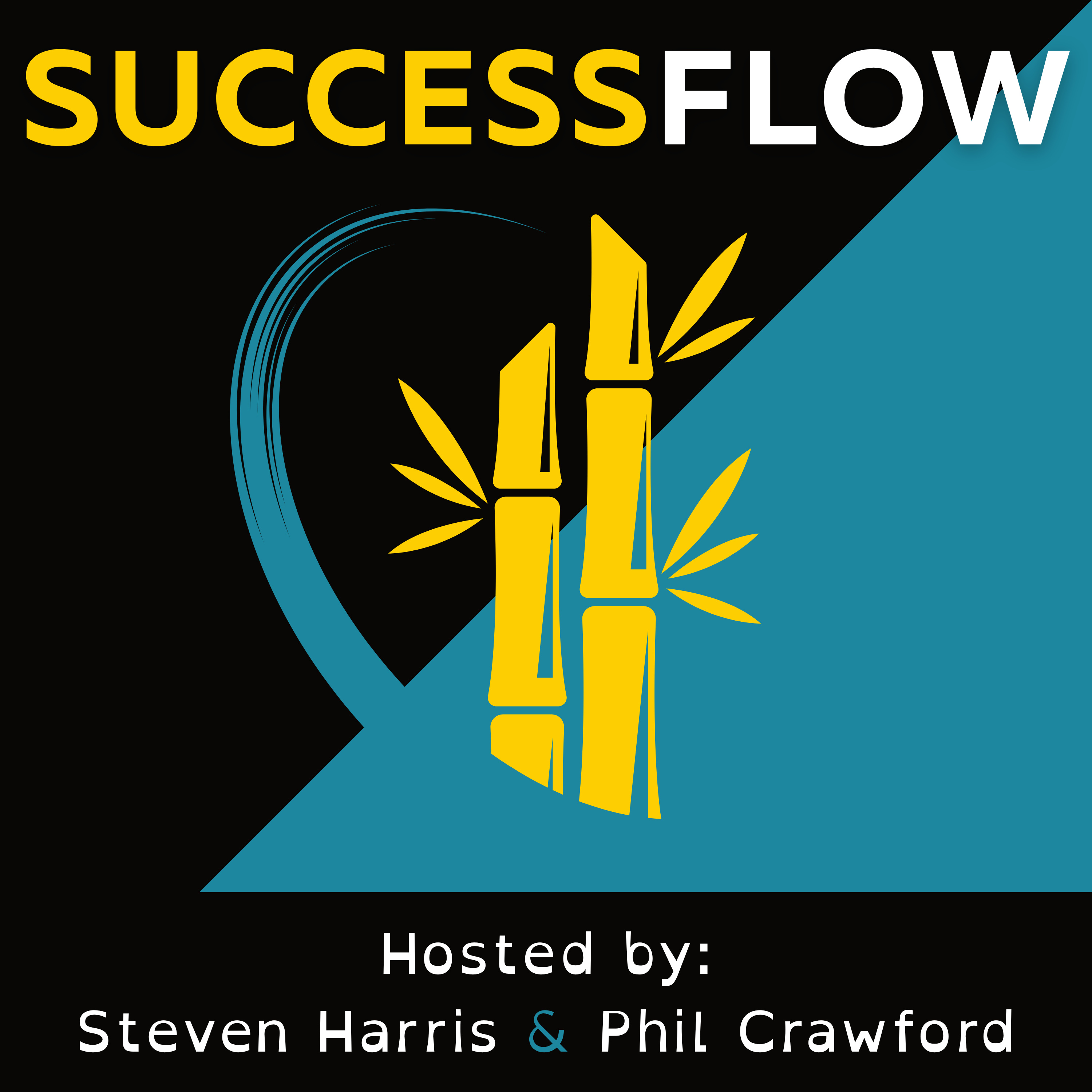 SuccessFlow Podcast