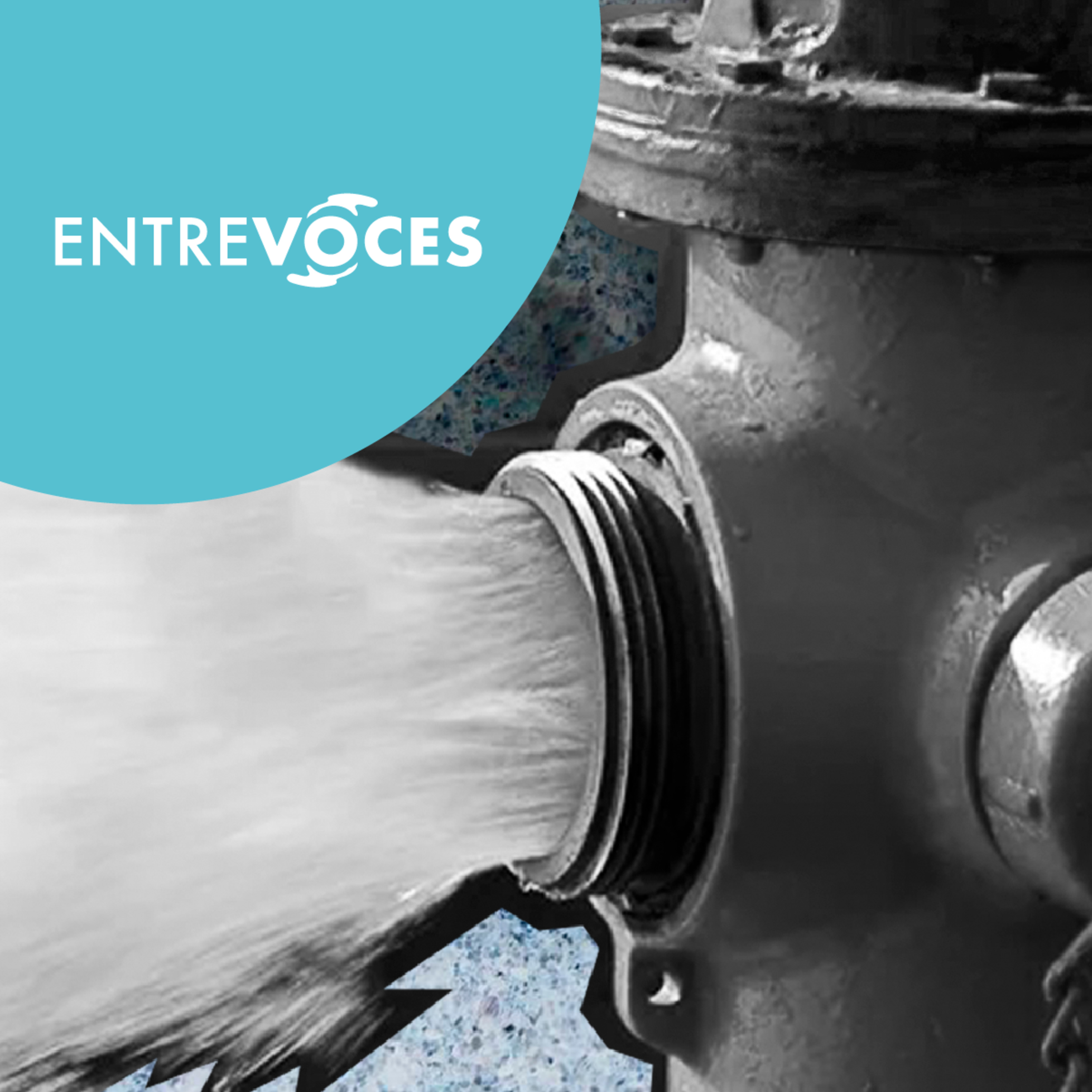 Entrevoces