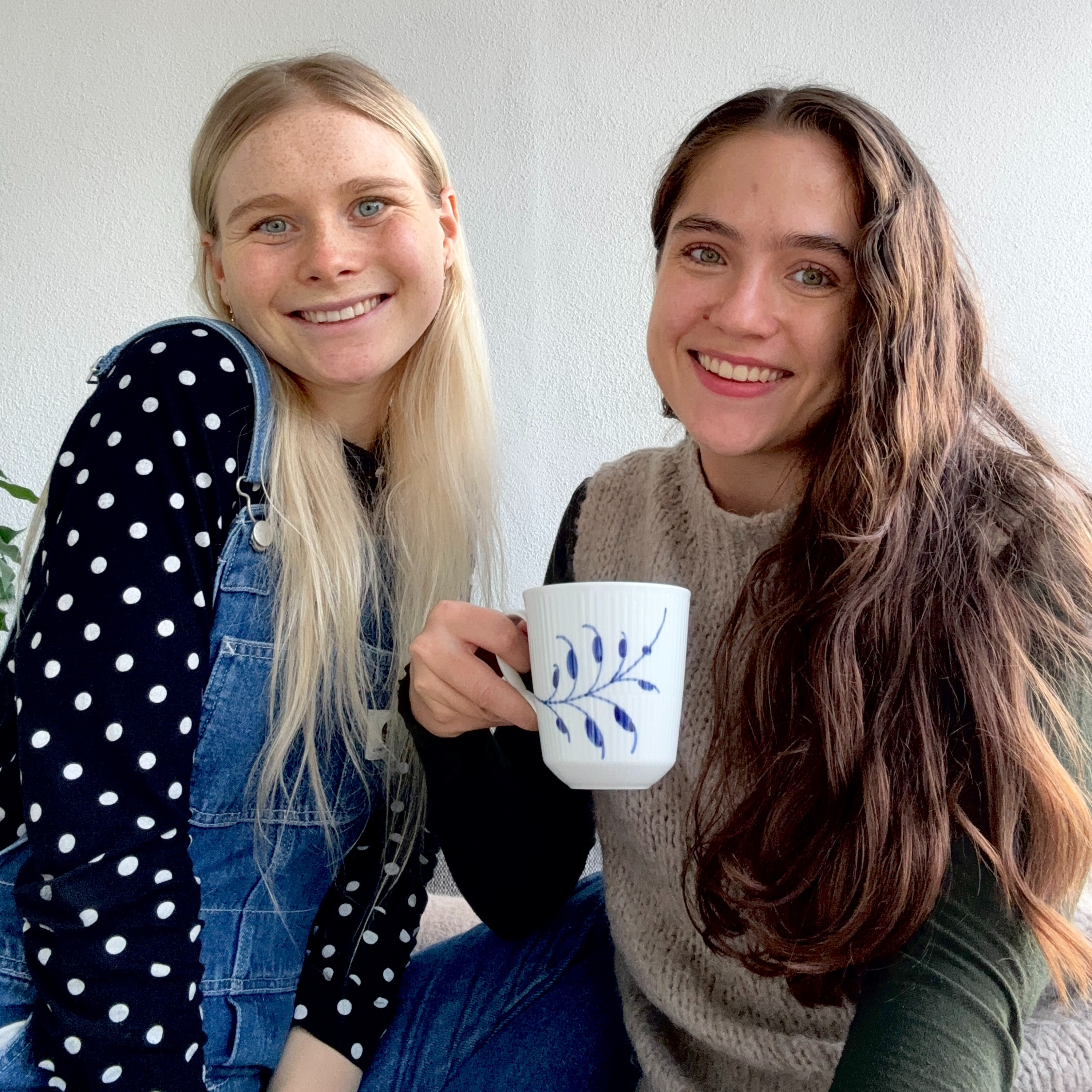 På vej mod at blive socialrådgiver