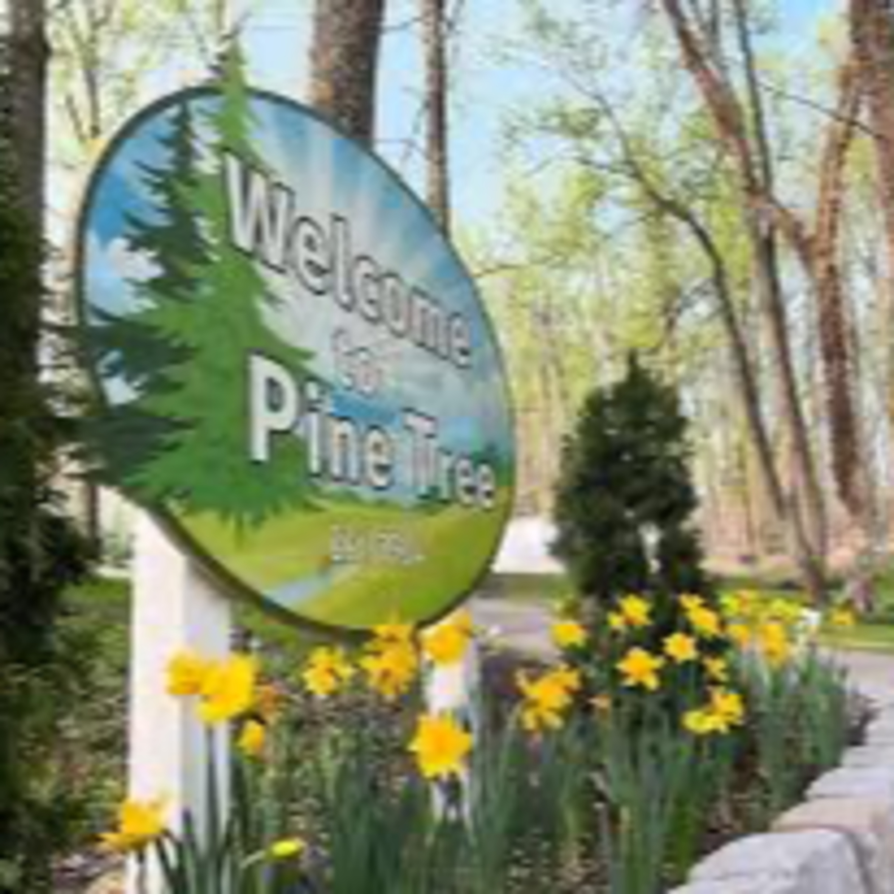 Naked, Nudists, and Naturists