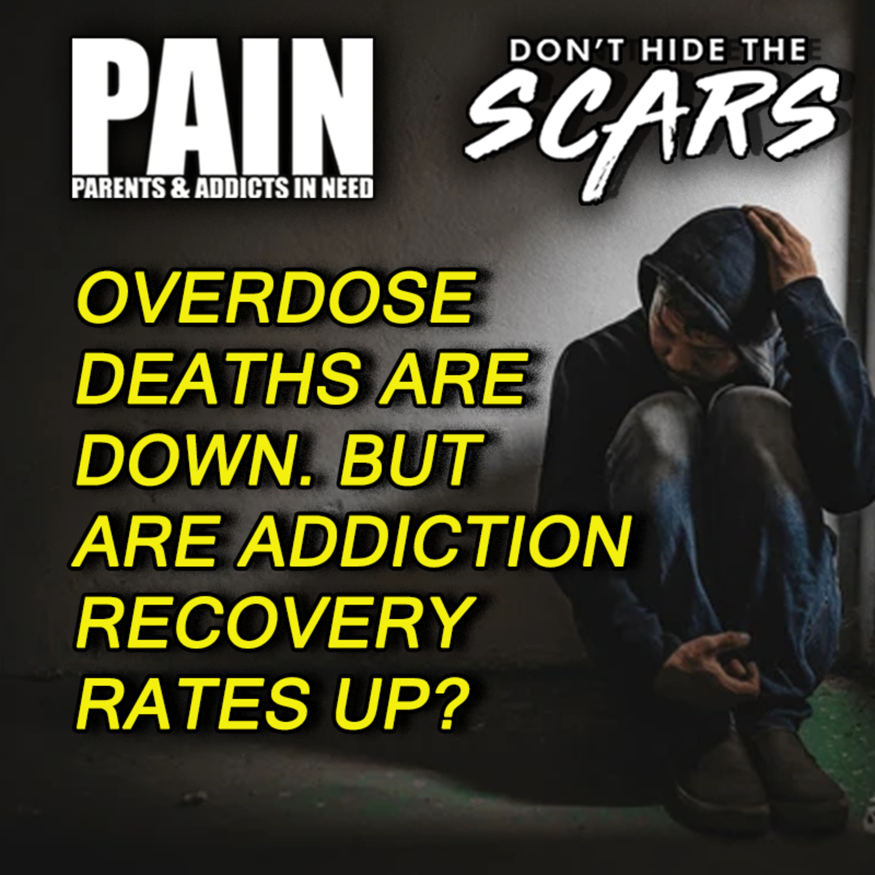 Don’t Hide The Scars. Presented By PAIN: Parents & Addicts In Need