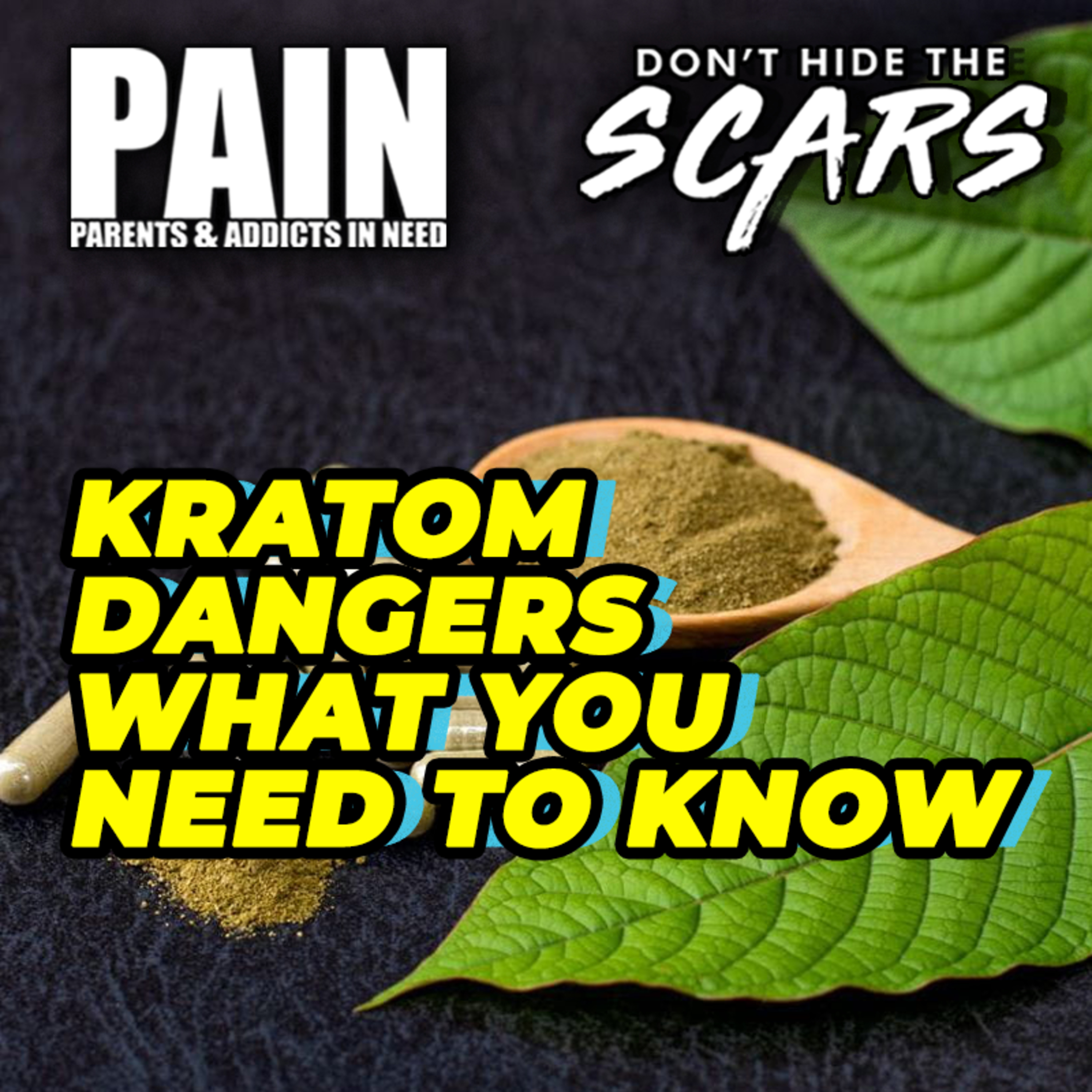 Don’t Hide The Scars. Presented By PAIN: Parents & Addicts In Need