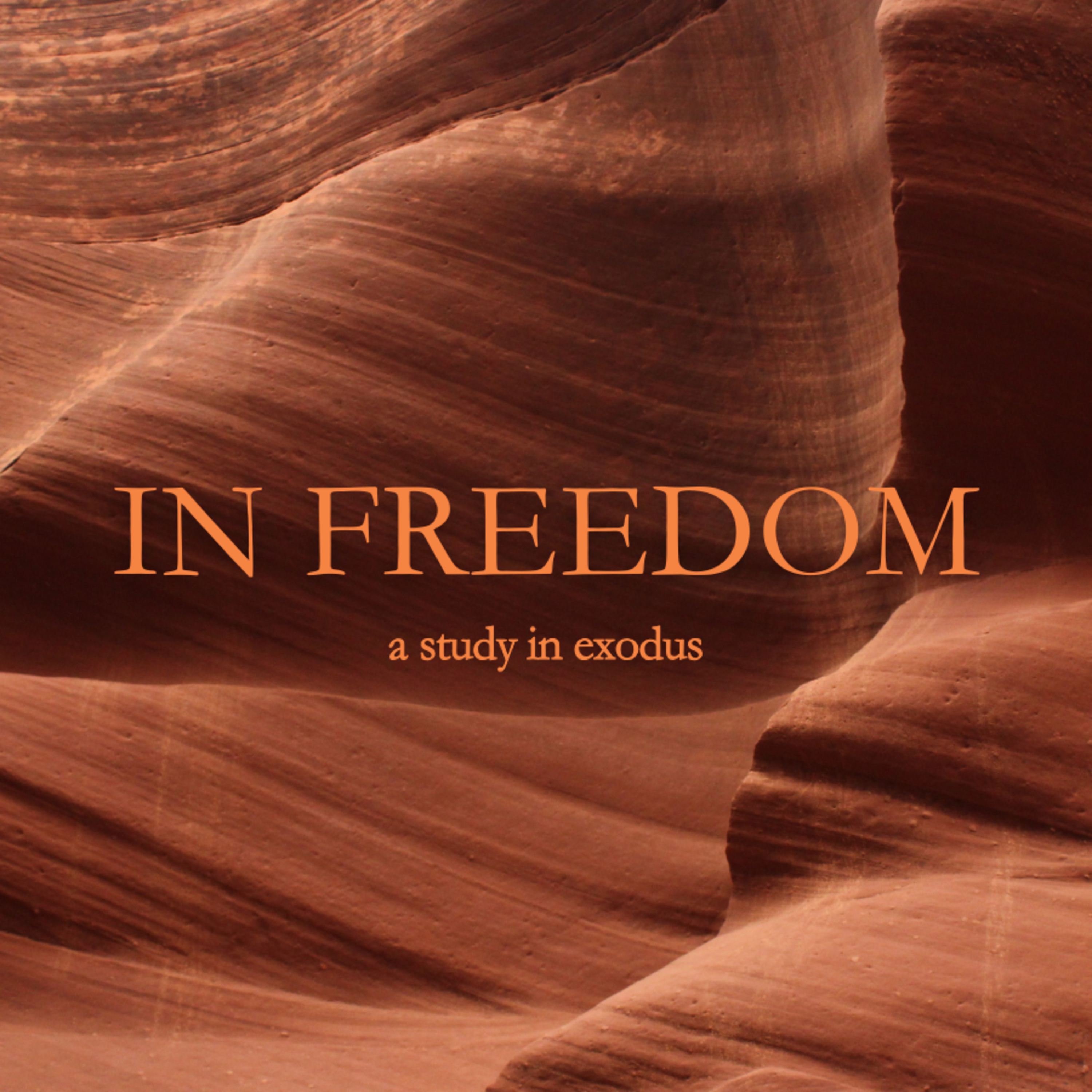 Freedom History episode artwork