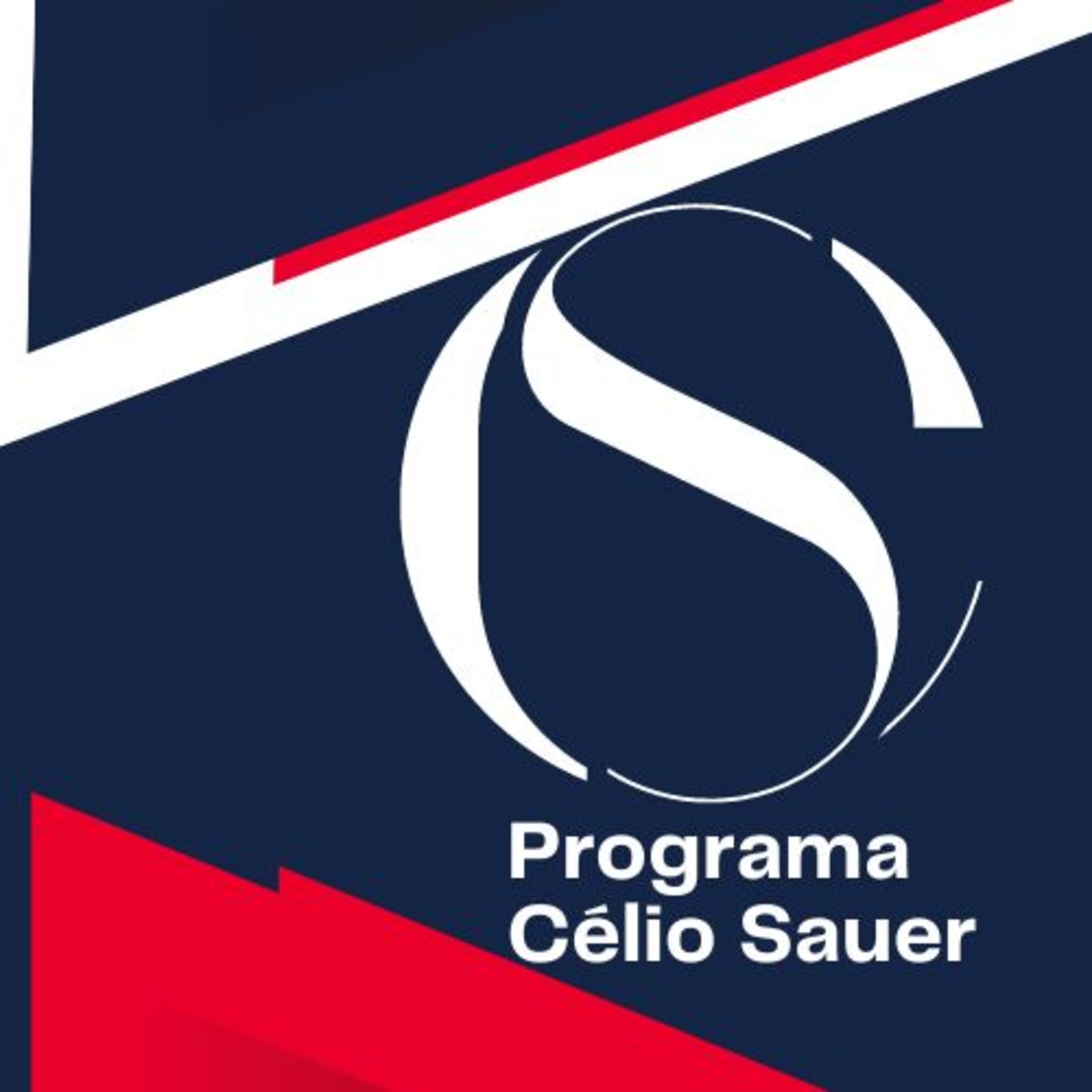 Célio Sauer - Diário da Cidadania