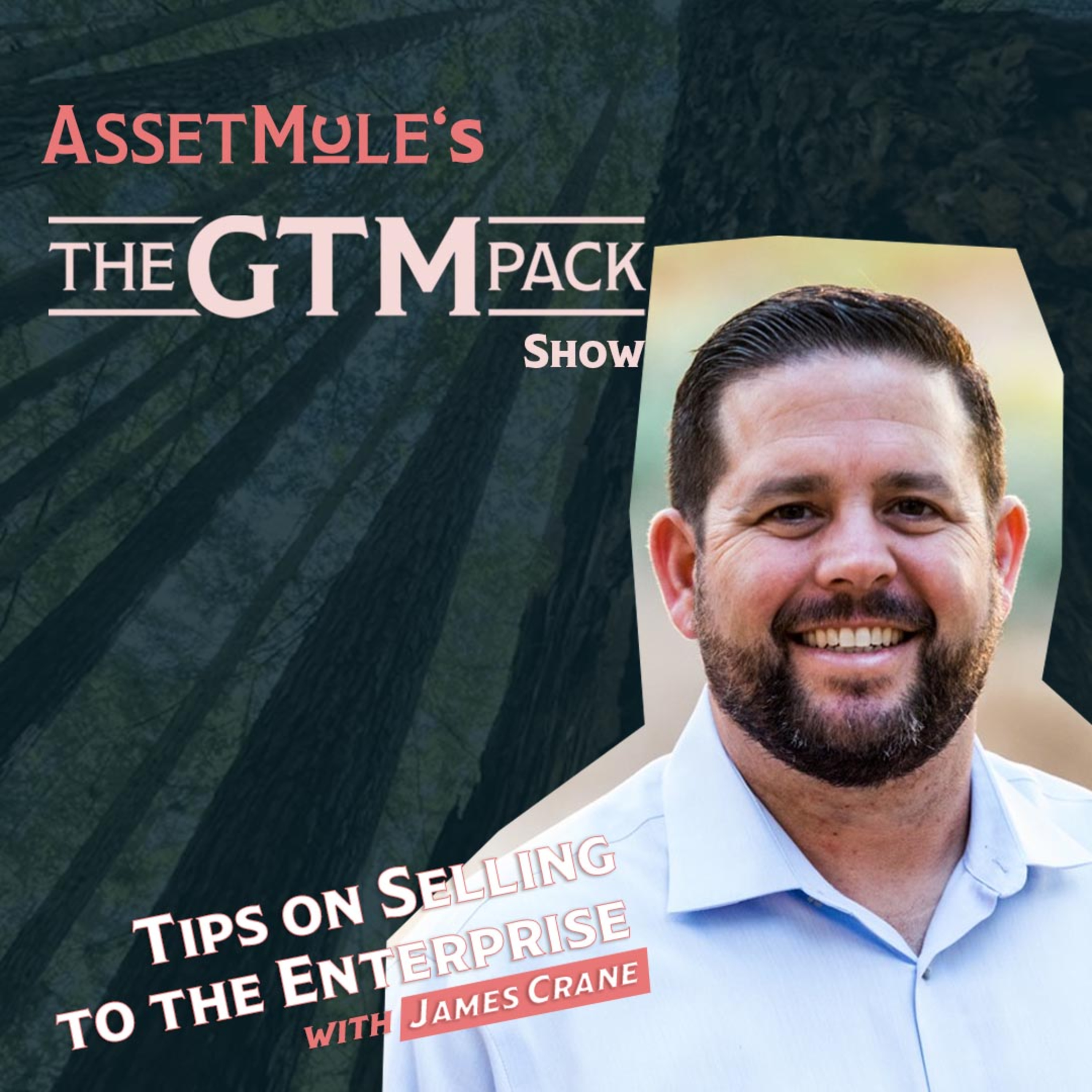 The GTM Pack Show