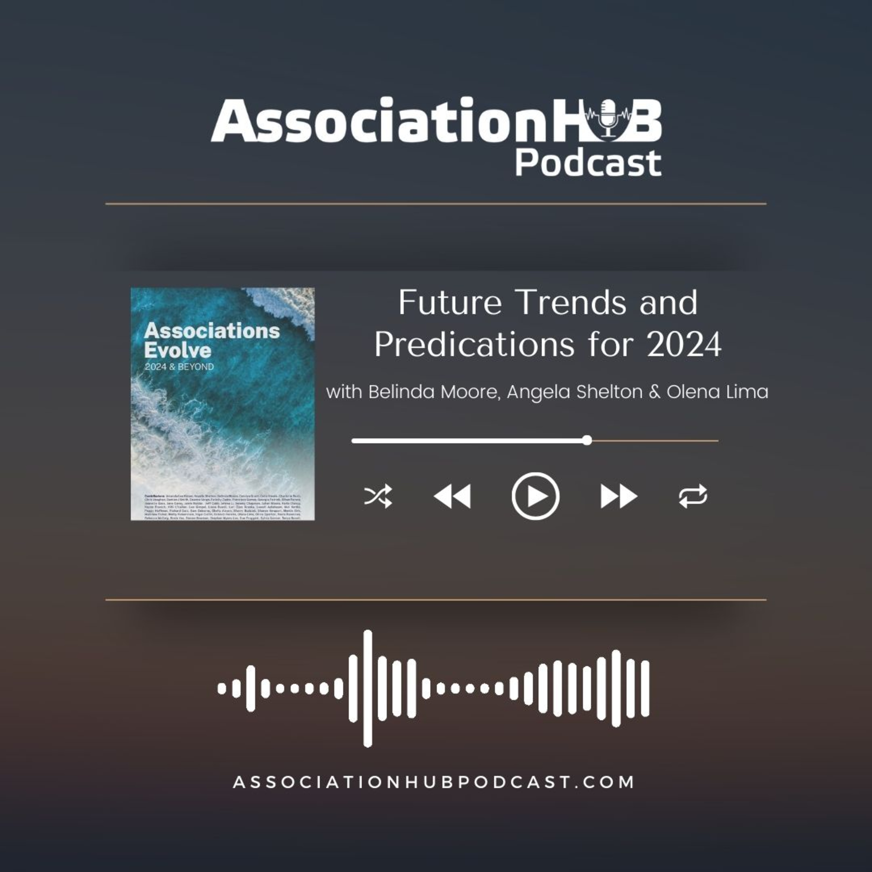 Association Hub Podcast