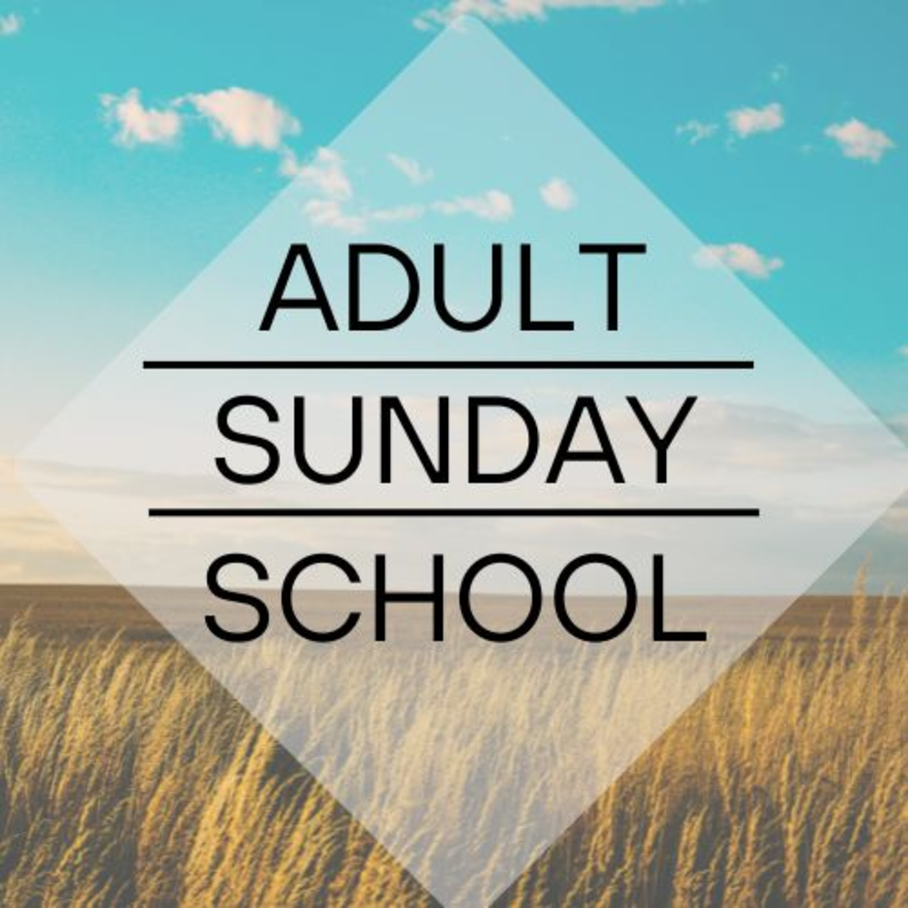 Adult Sunday School 8/3/25 - Acts 2 episode artwork