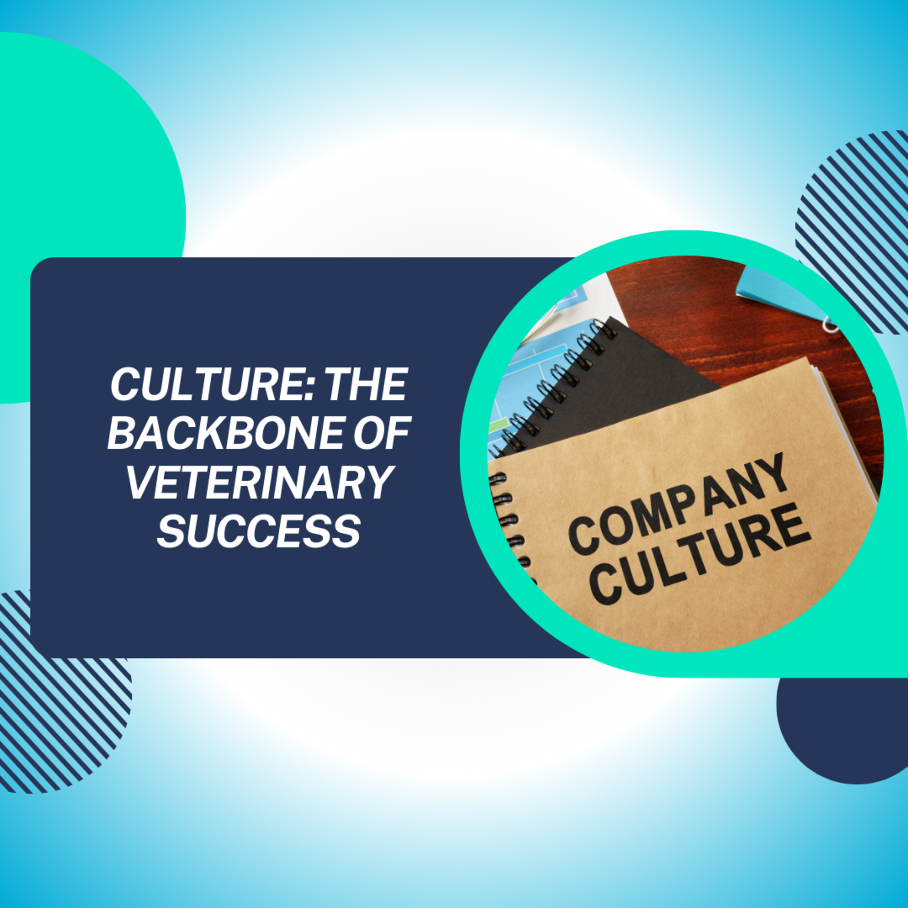Culture: The Backbone of Veterinary Success
