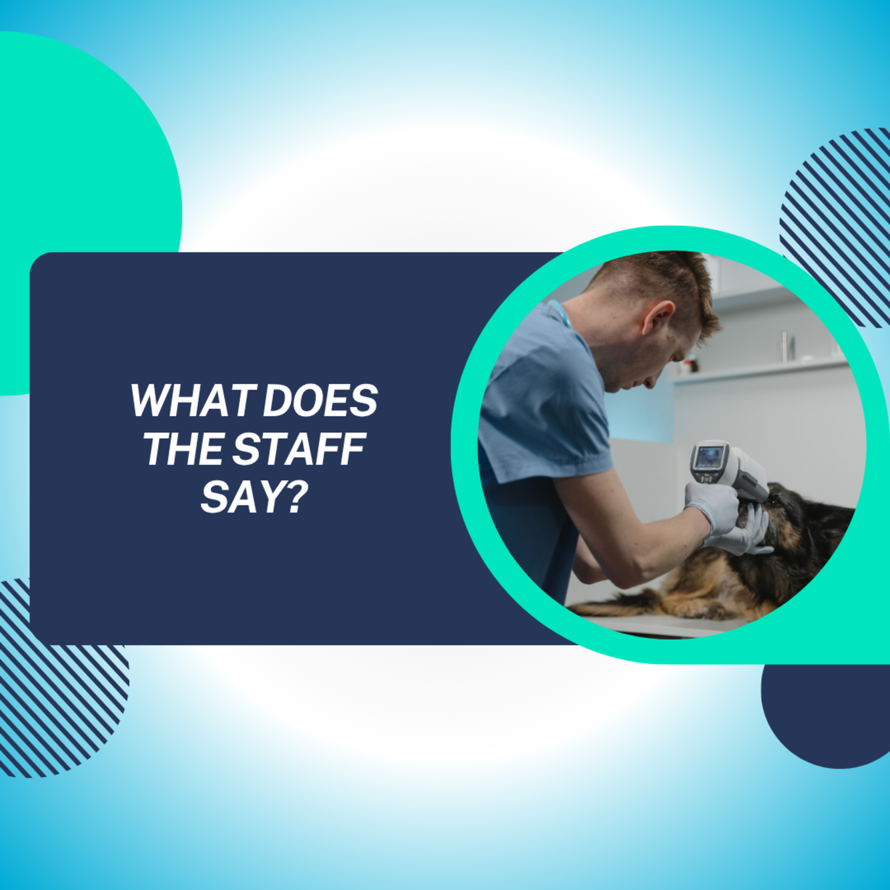 What Does the Staff Say