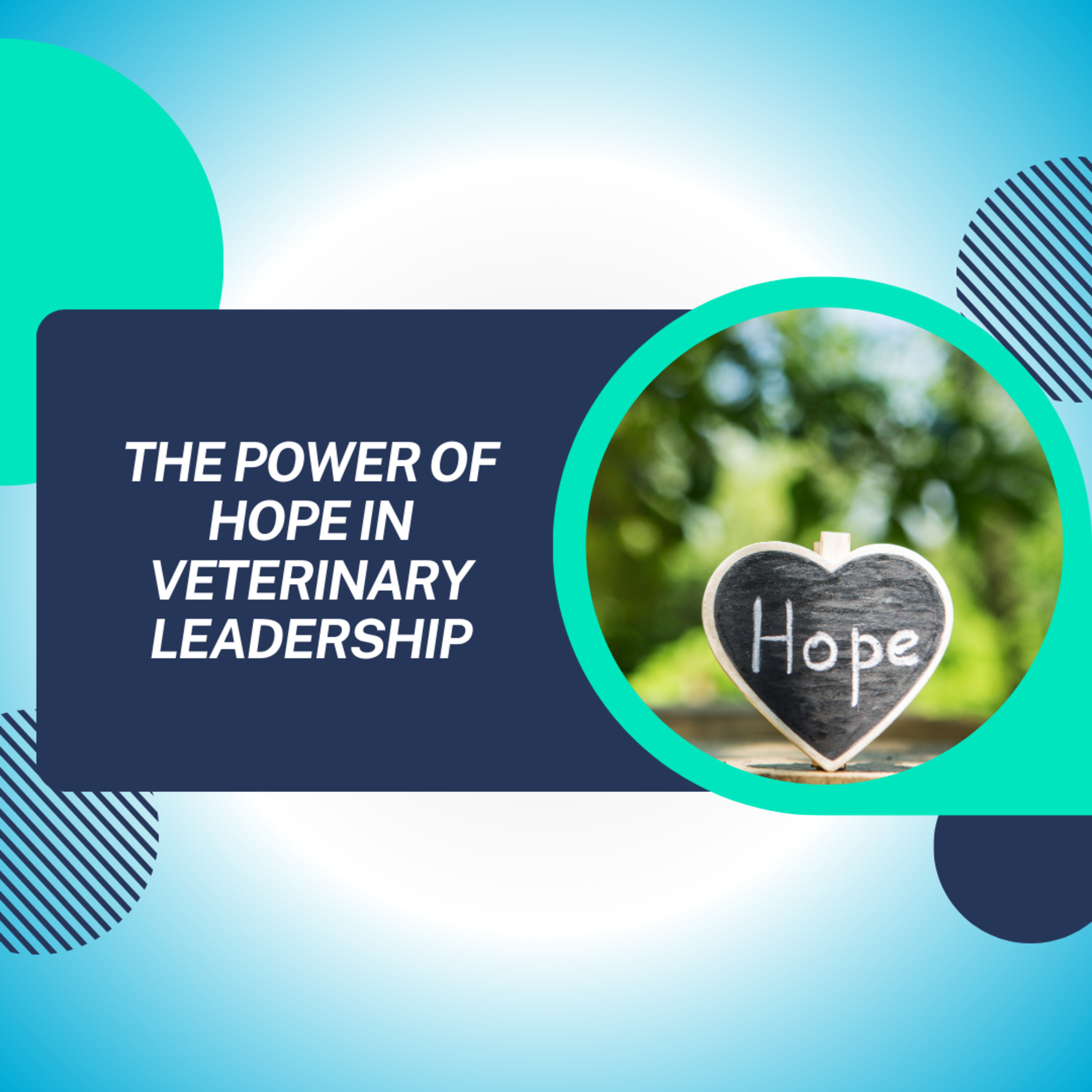 The Power of Hope in Veterinary Leadership