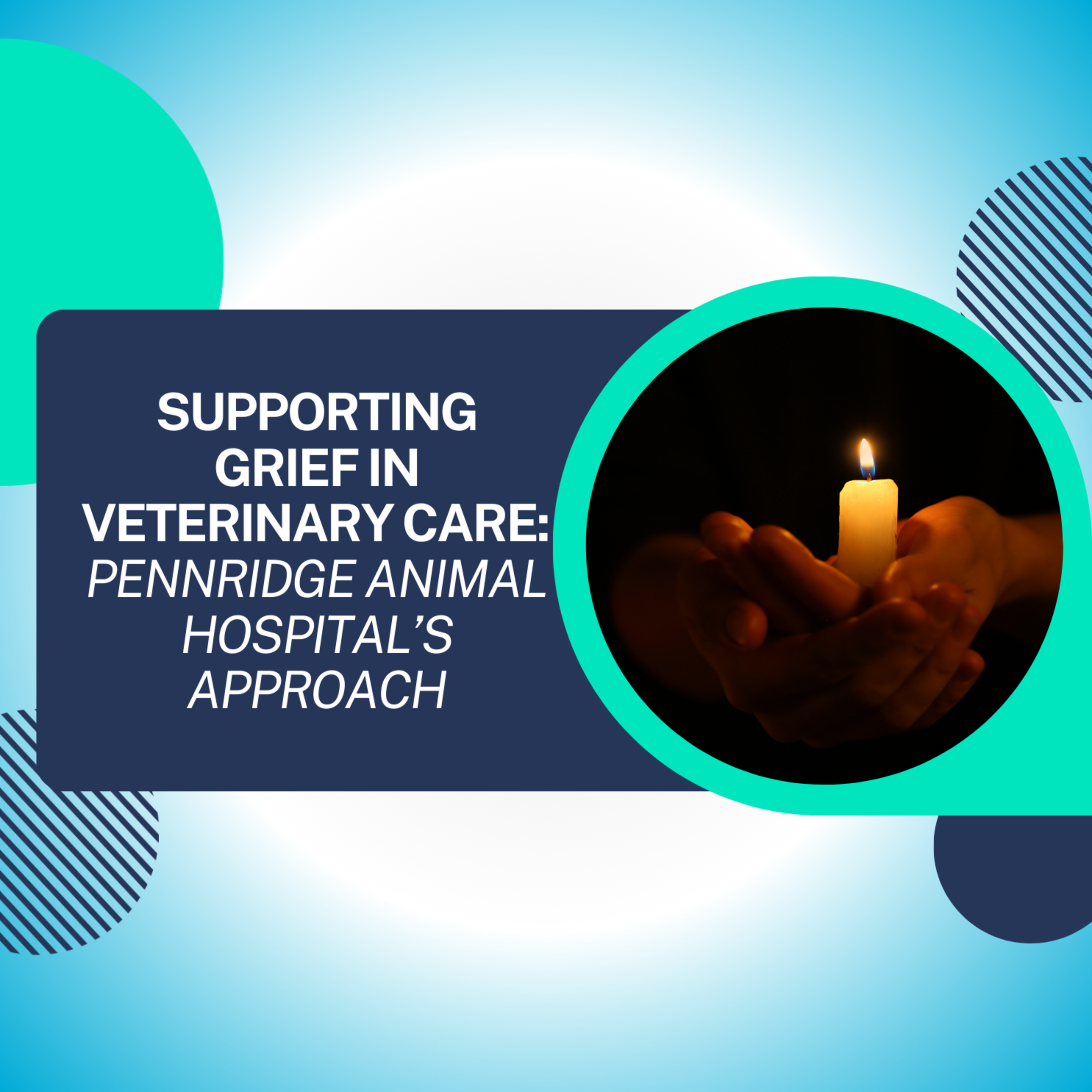 Supporting Grief in Veterinary Care: Pennridge Animal Hospital’s Approach episode artwork