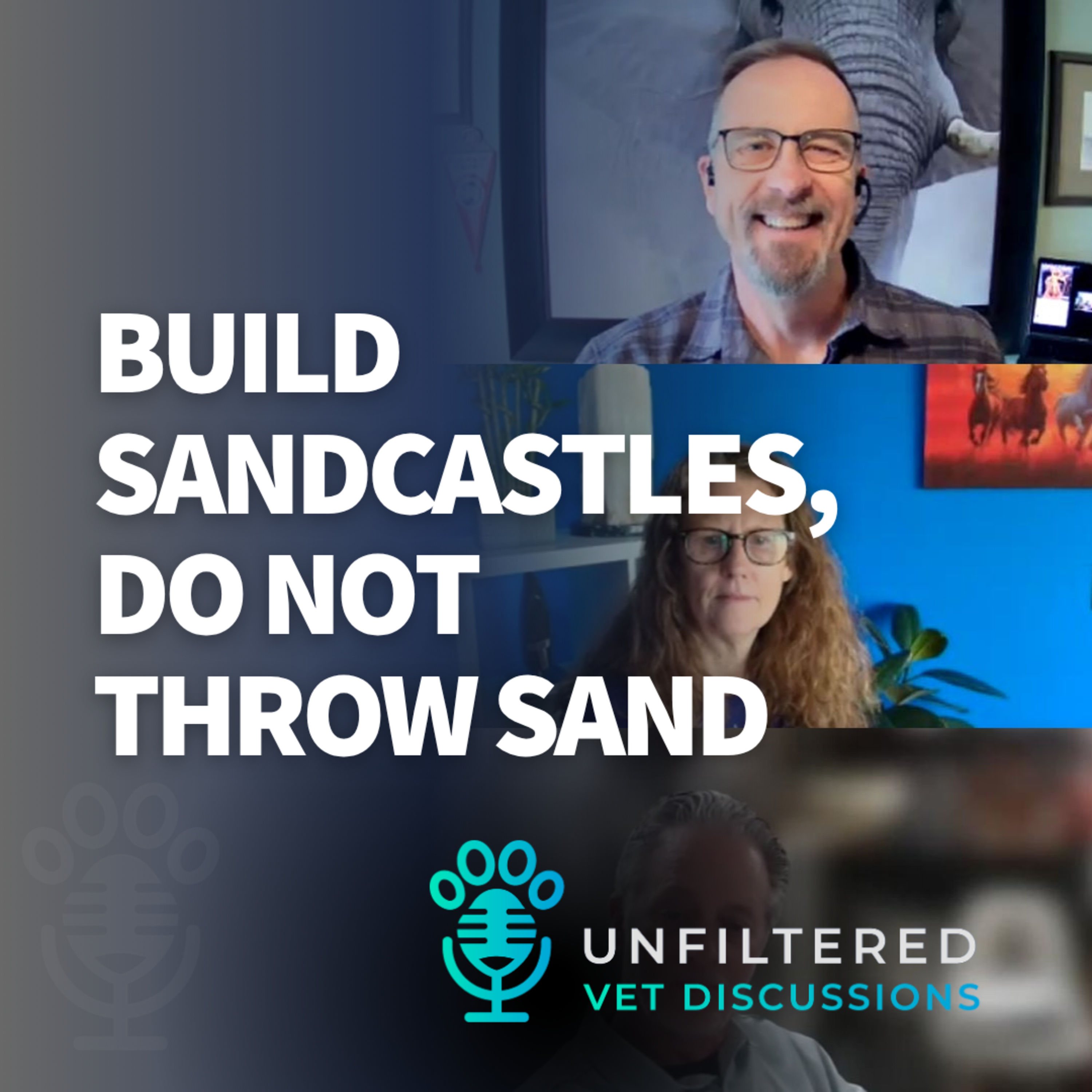 Build Sandcastles, Do Not Throw Sand episode artwork
