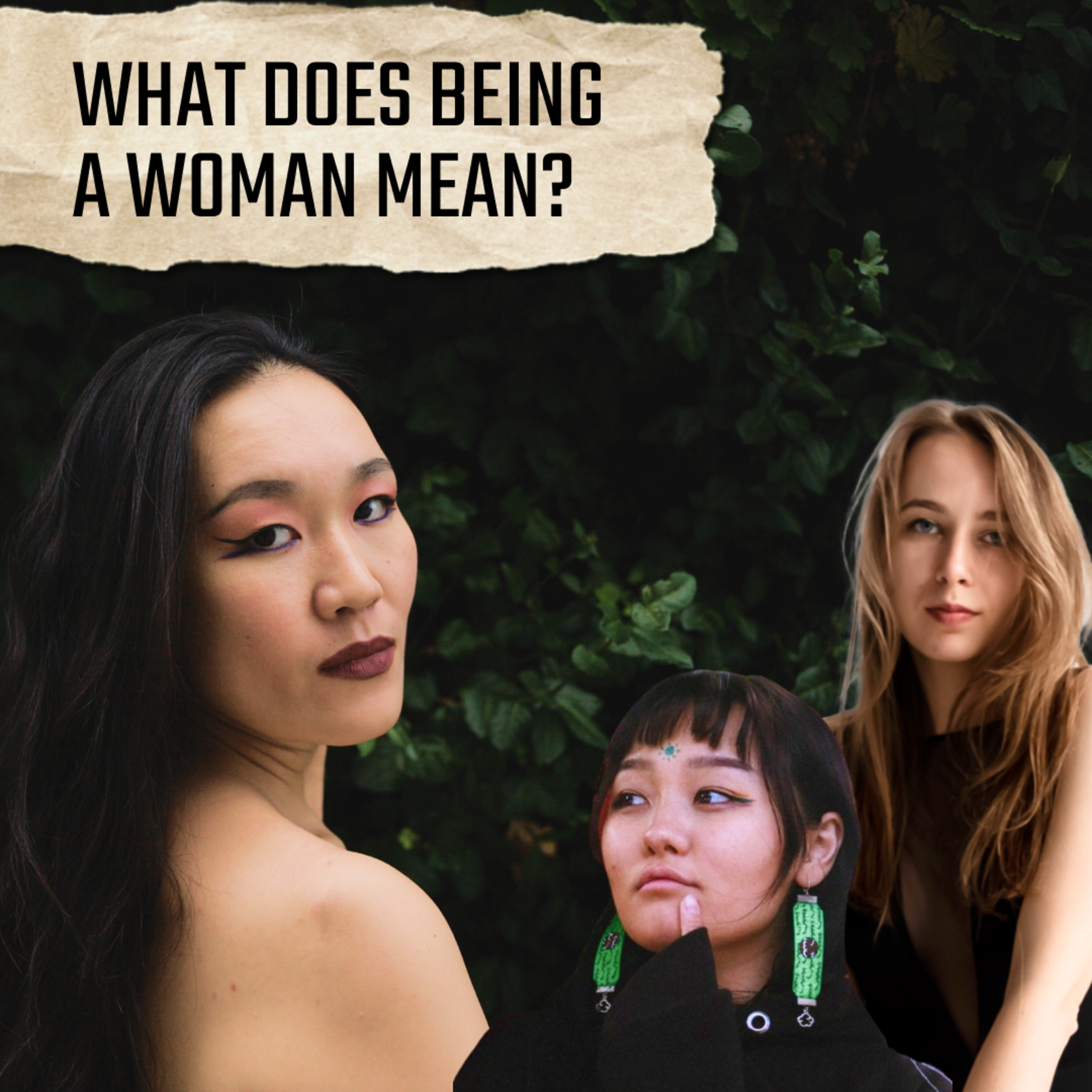 Diversity Podcast
