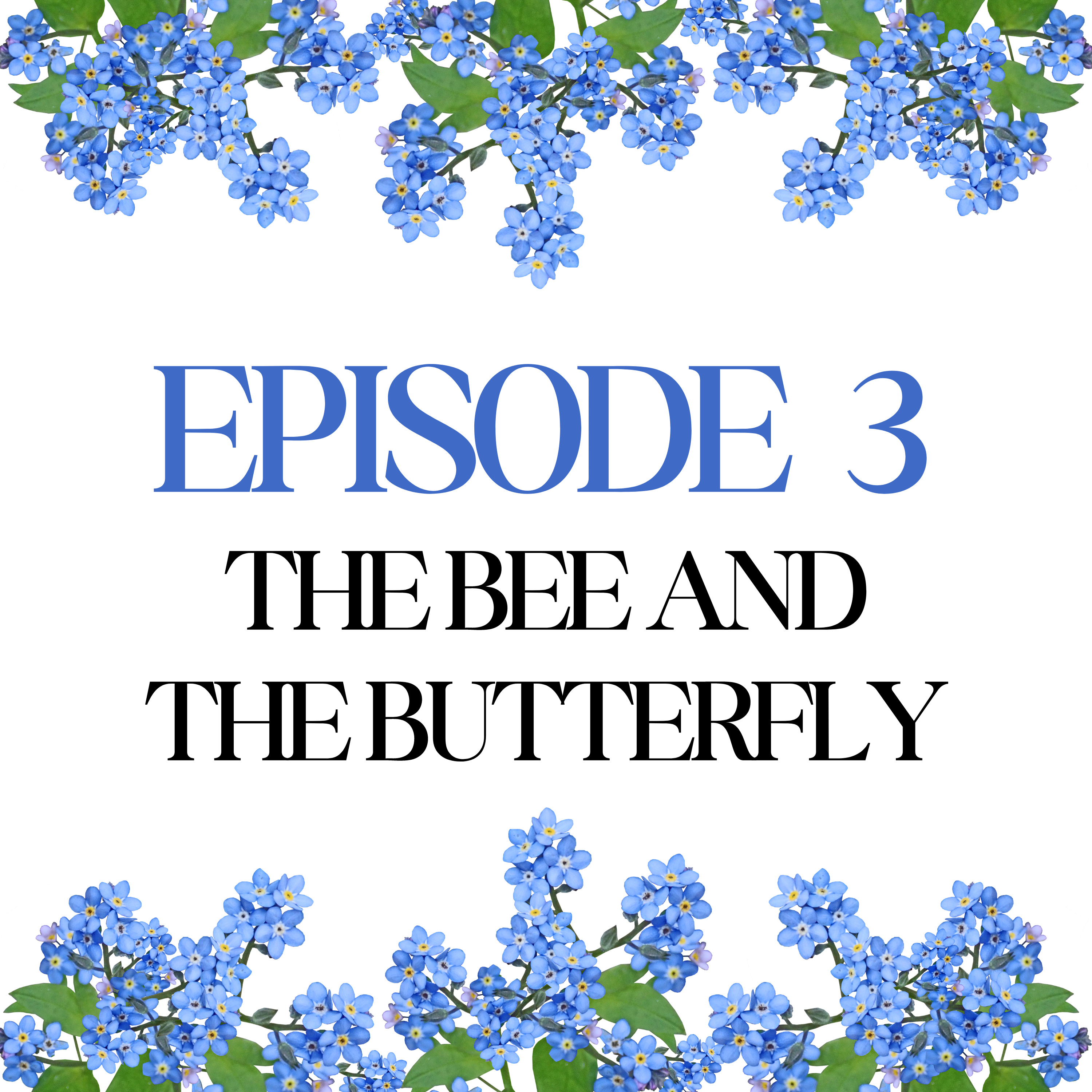 Episode 3: The Bee and the Butterfly  episode artwork