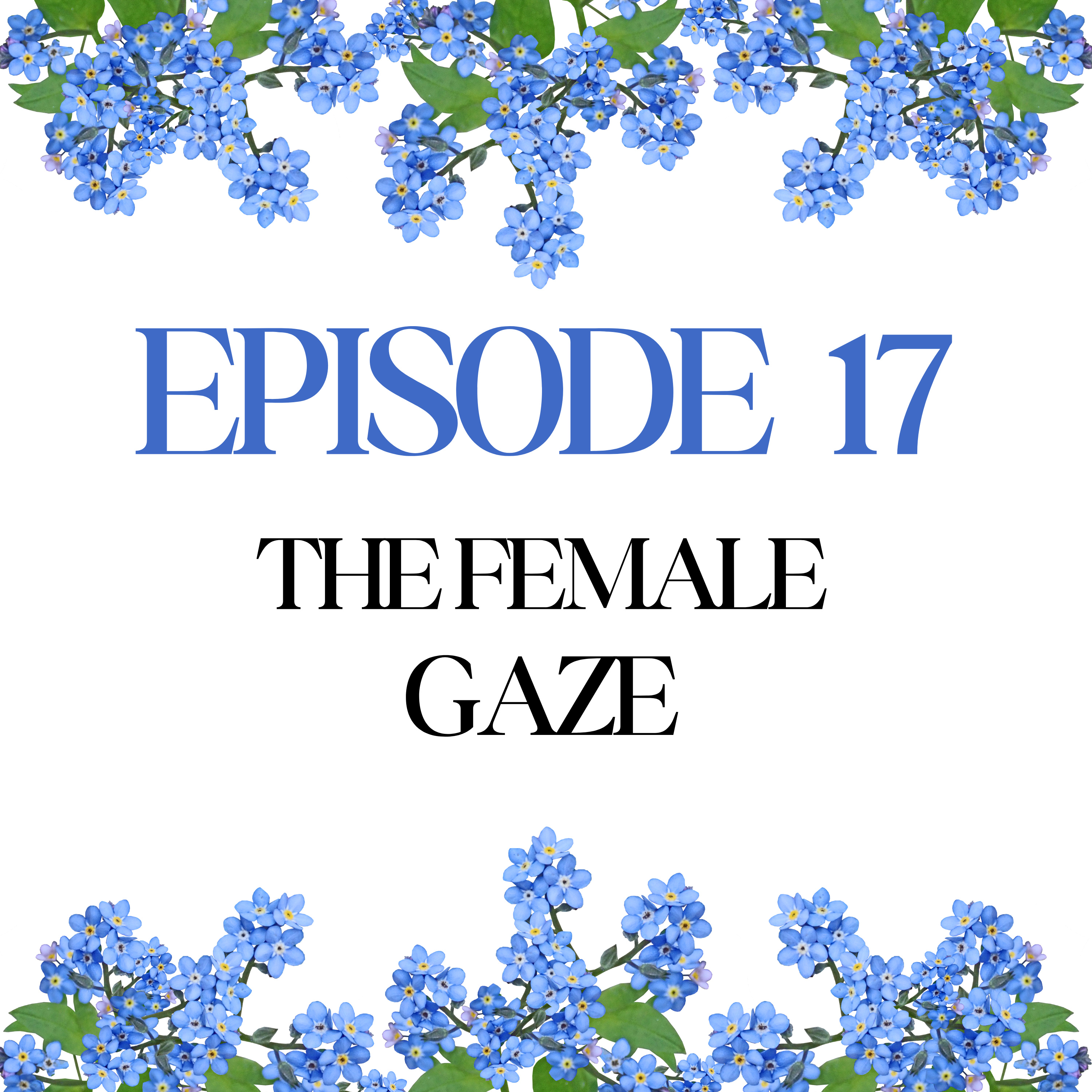 Episode 17: The Female Gaze episode artwork