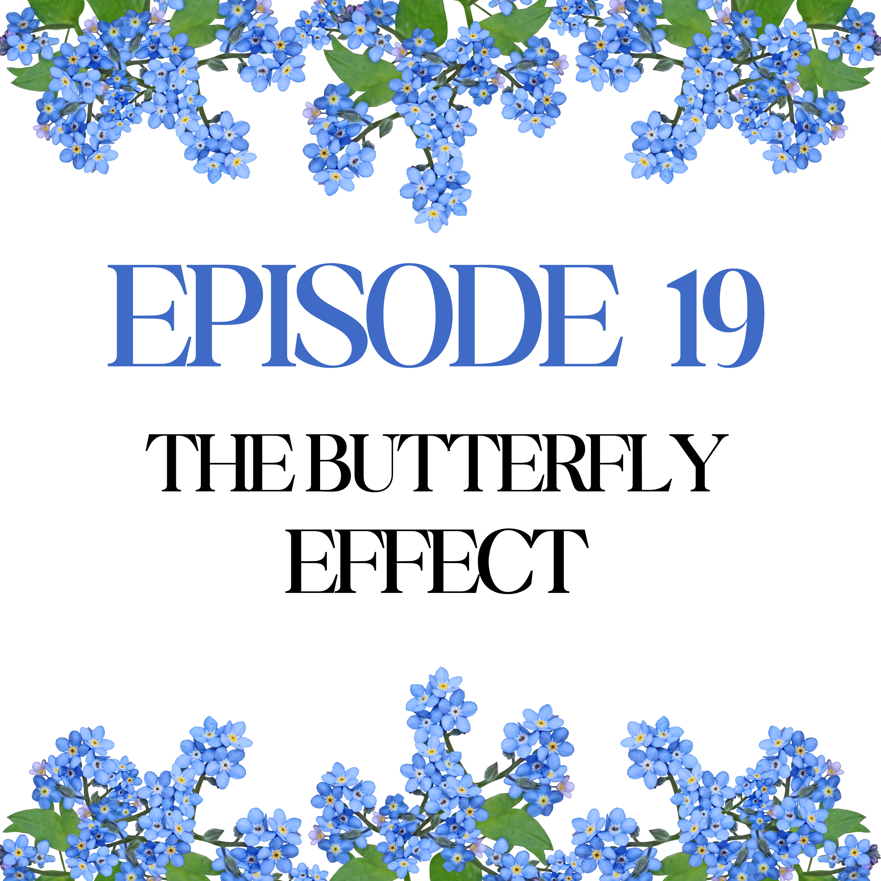 Episode 19: The Butterfly Effect episode artwork