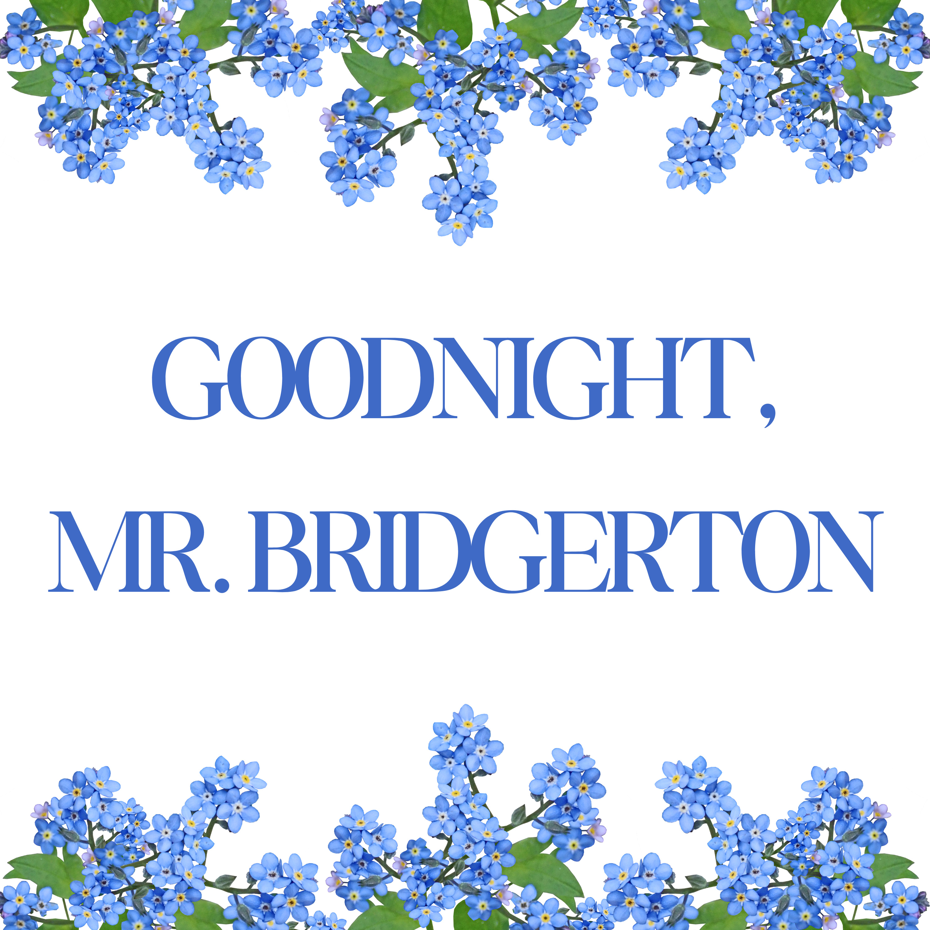 Goodnight, Mr. Bridgerton episode artwork