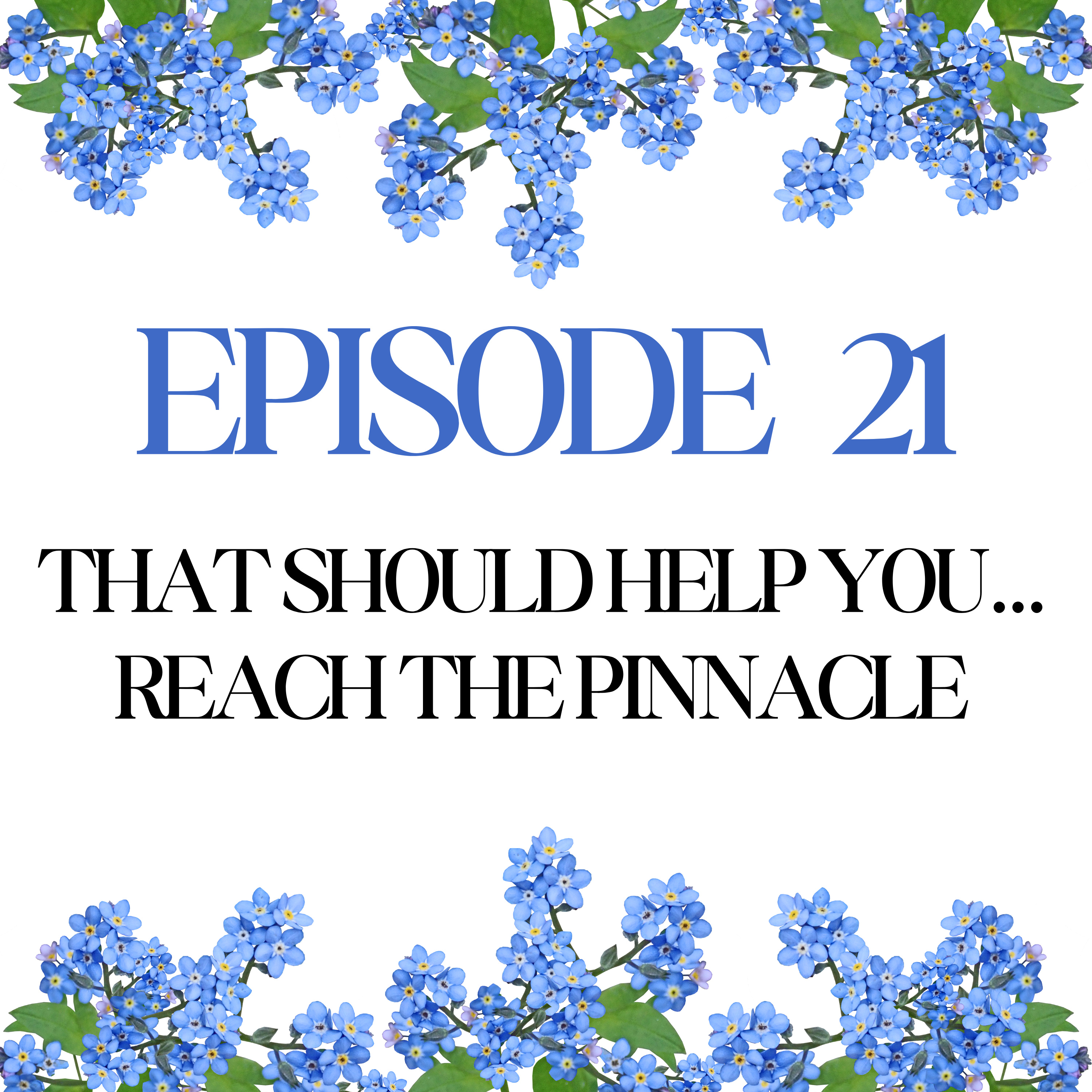 Episode 21: That Should Help You...Reach the Pinnacle  episode artwork