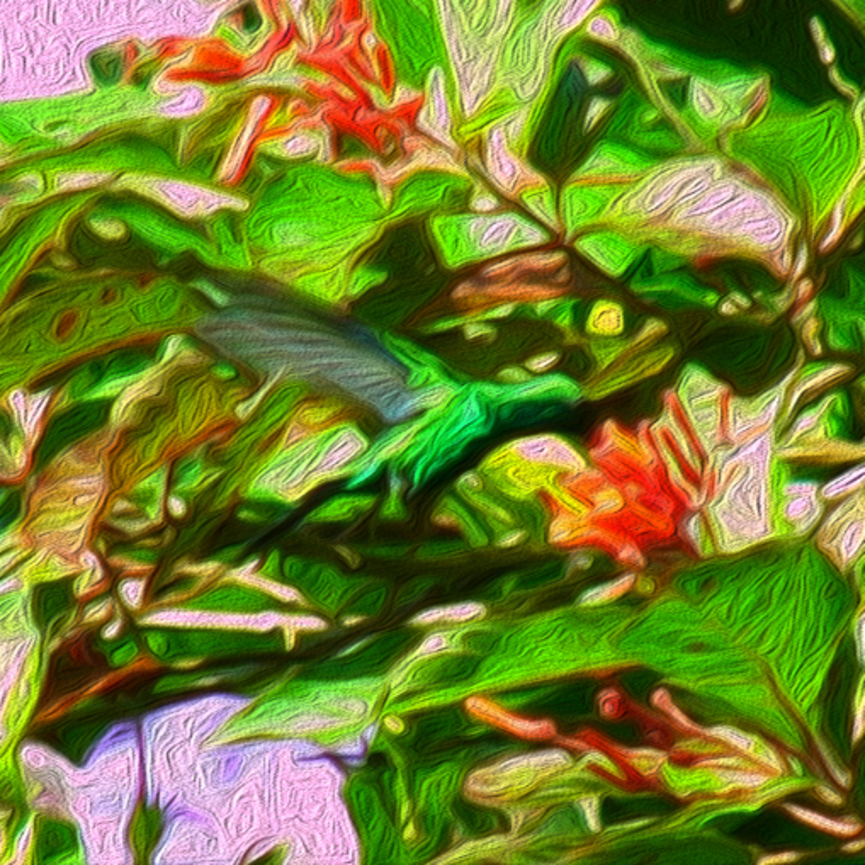 Chasing Feathers: A Neotropical Birding Journal