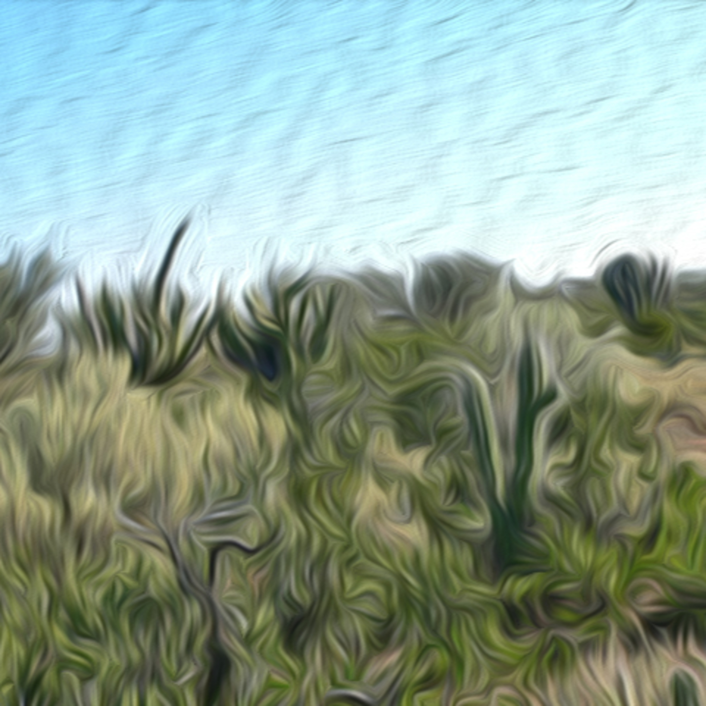 79 San Jose de las Salinas, Argentina - Search for Salinas Monjita