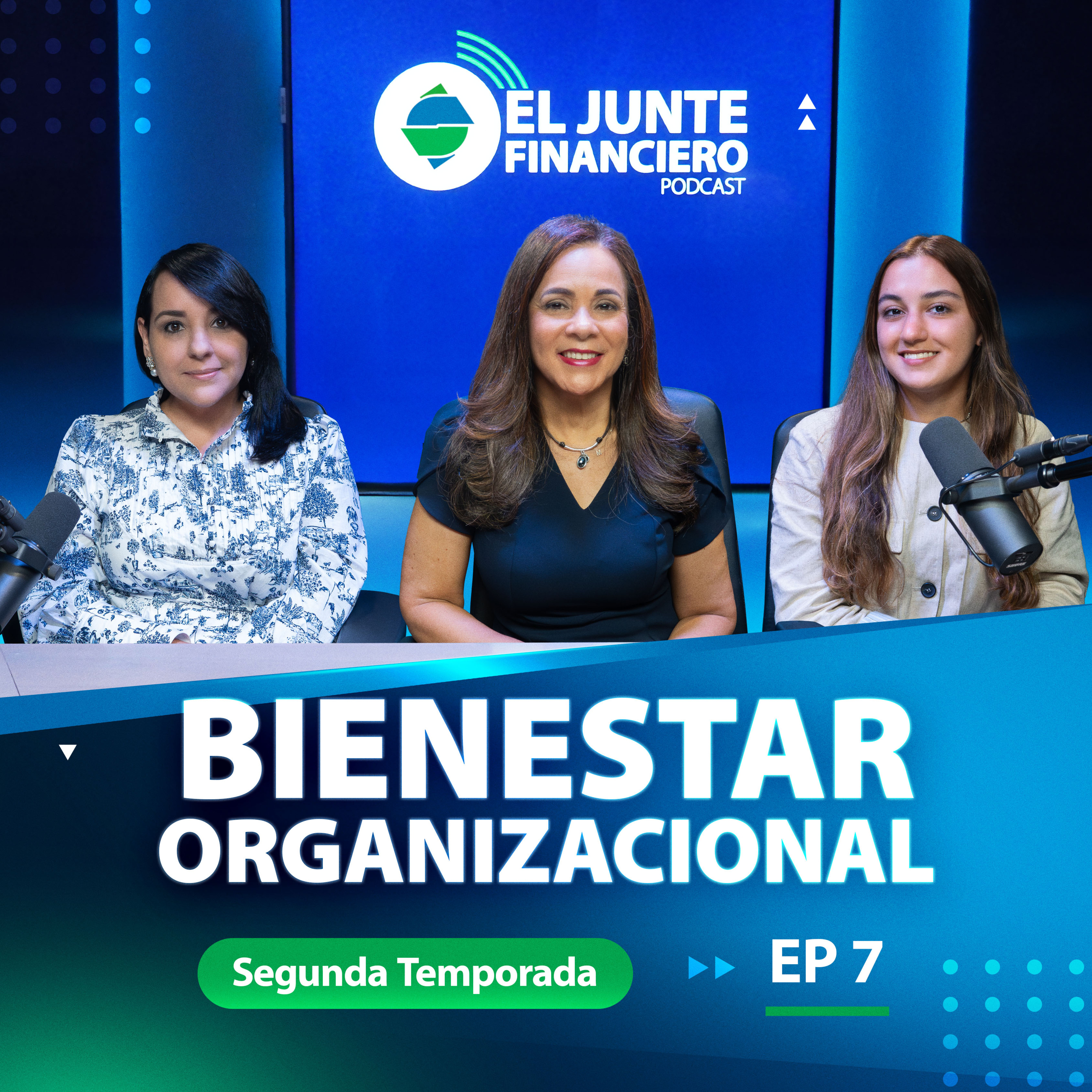 #15 Bienestar Organizacional