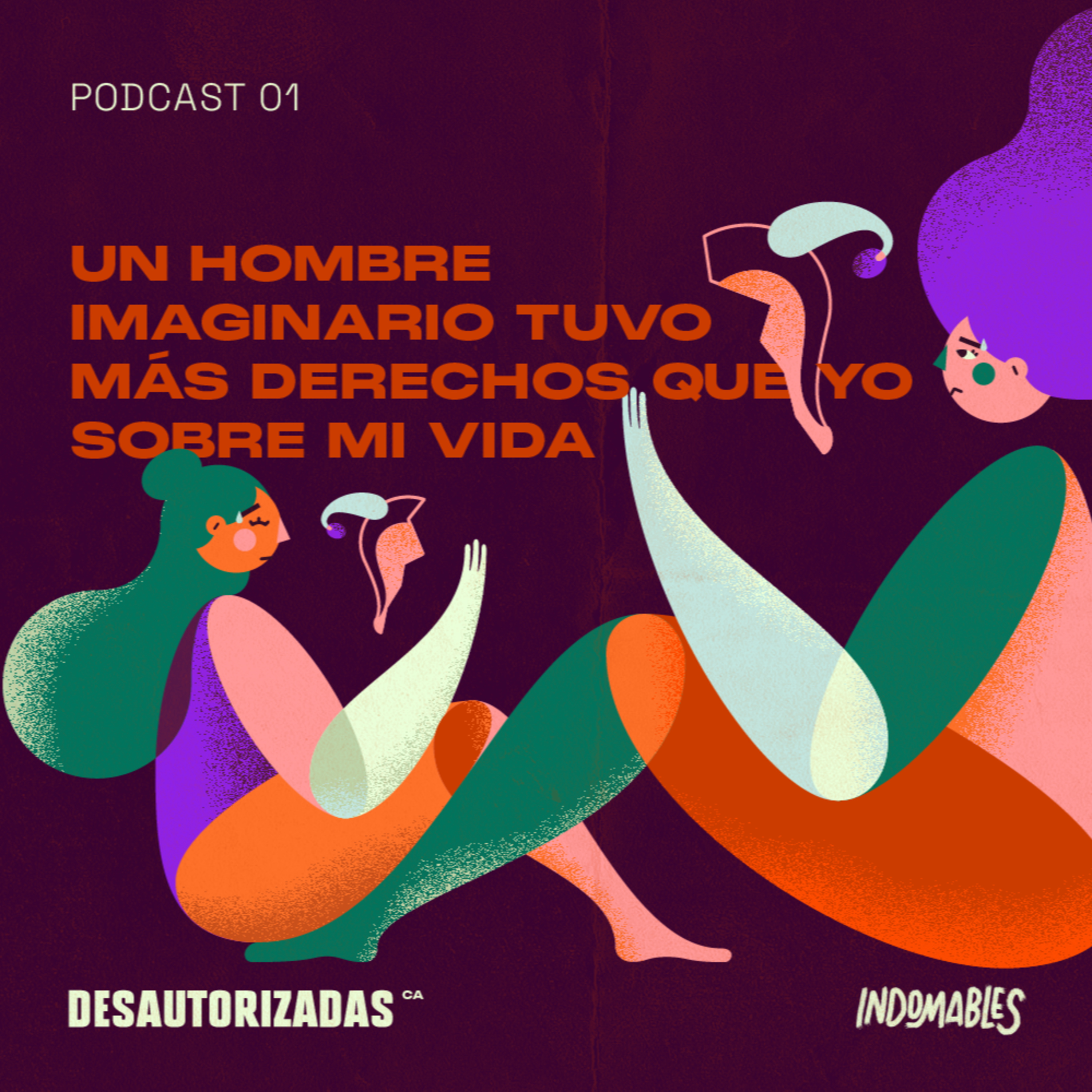 Un hombre imaginario tuvo más derechos que yo sobre mi vida episode artwork