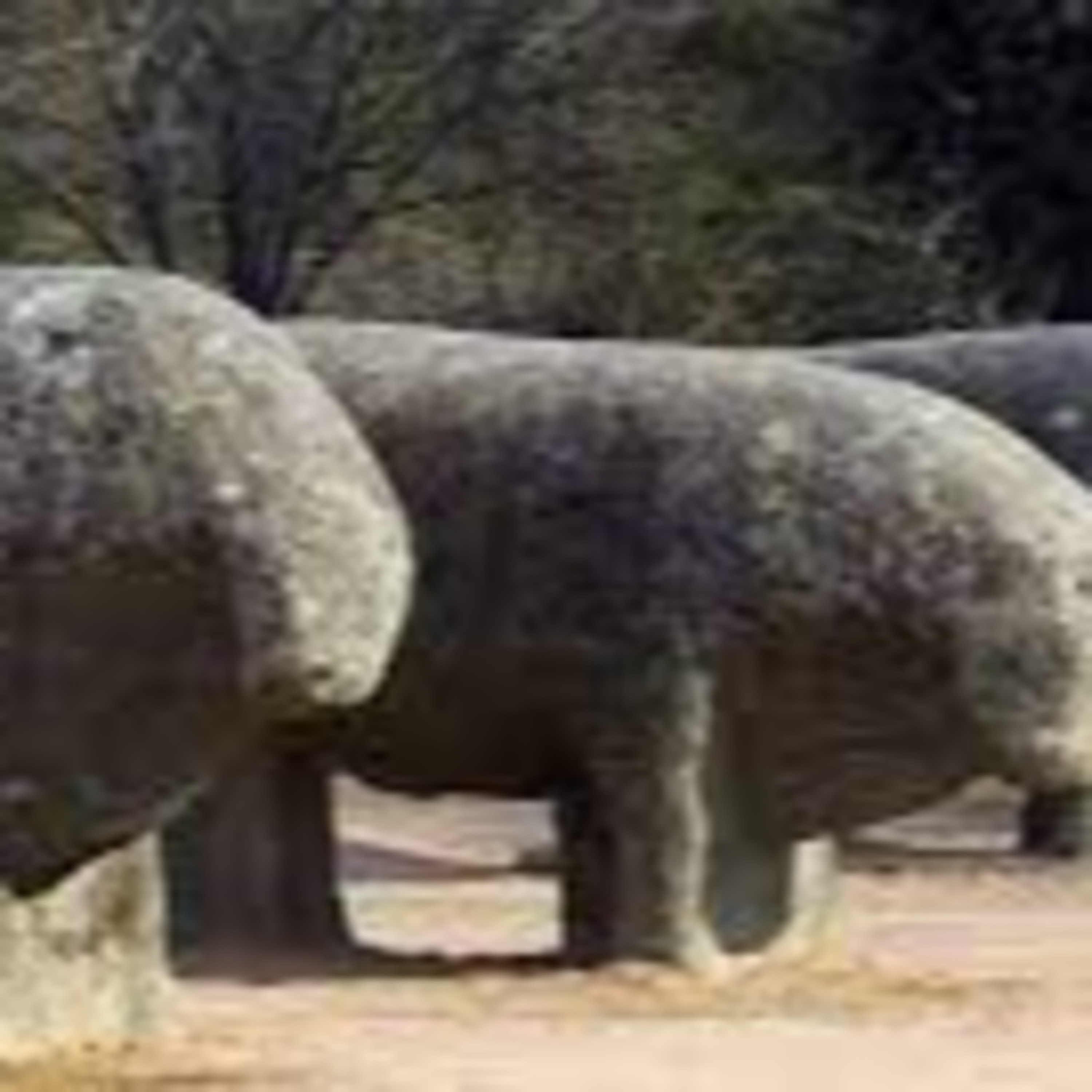 el laberinto de minotaurovk