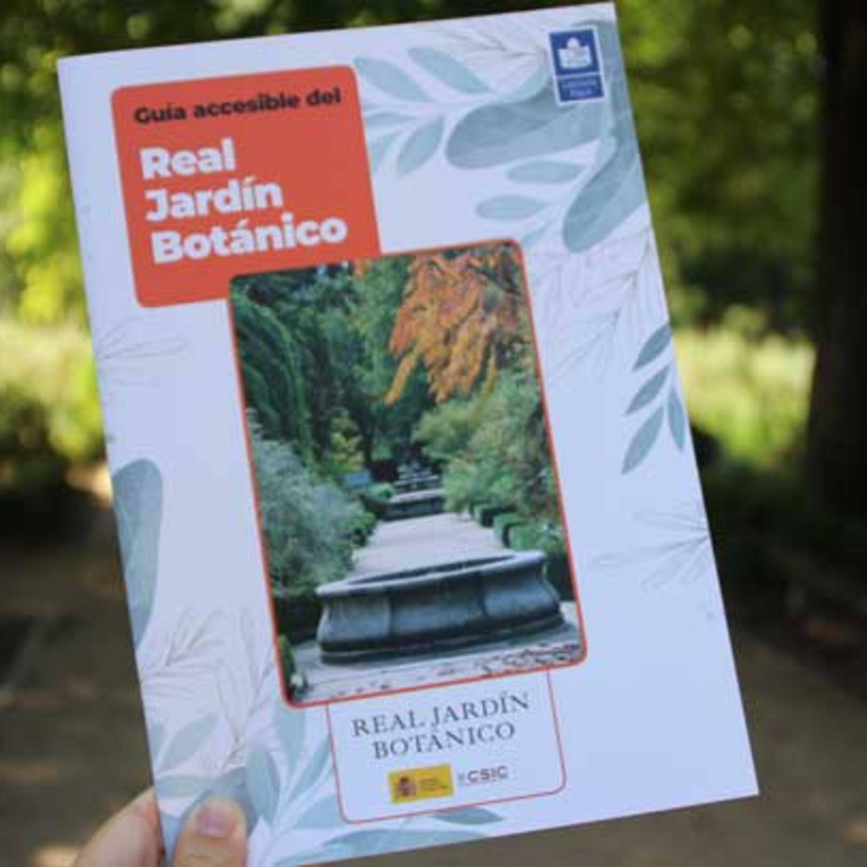 Capítulo 487, Guía accesible del real jardín botánico de Madrid.  episode artwork