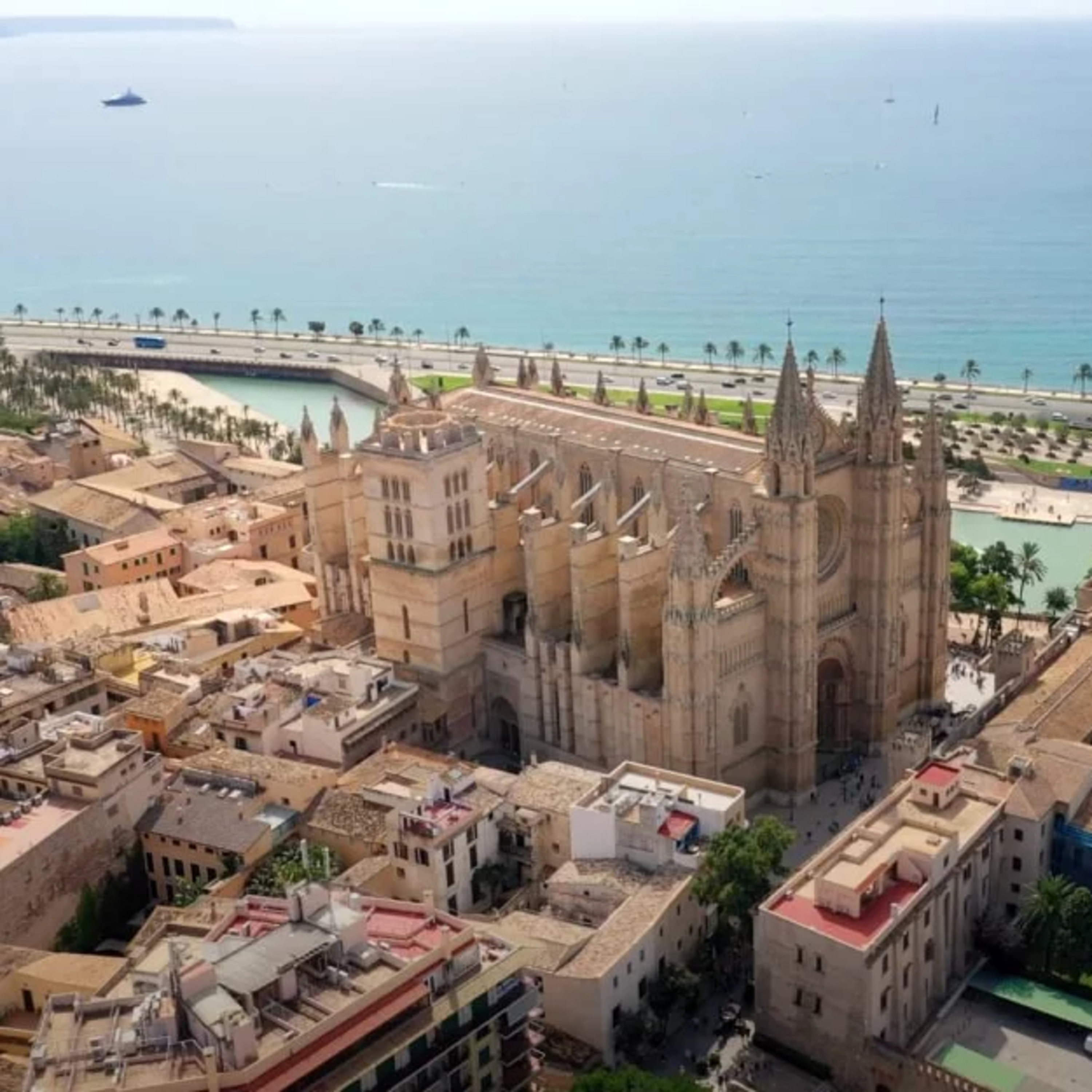 Capítulo 550, Viajar a Palma, es maravilloso.  episode artwork