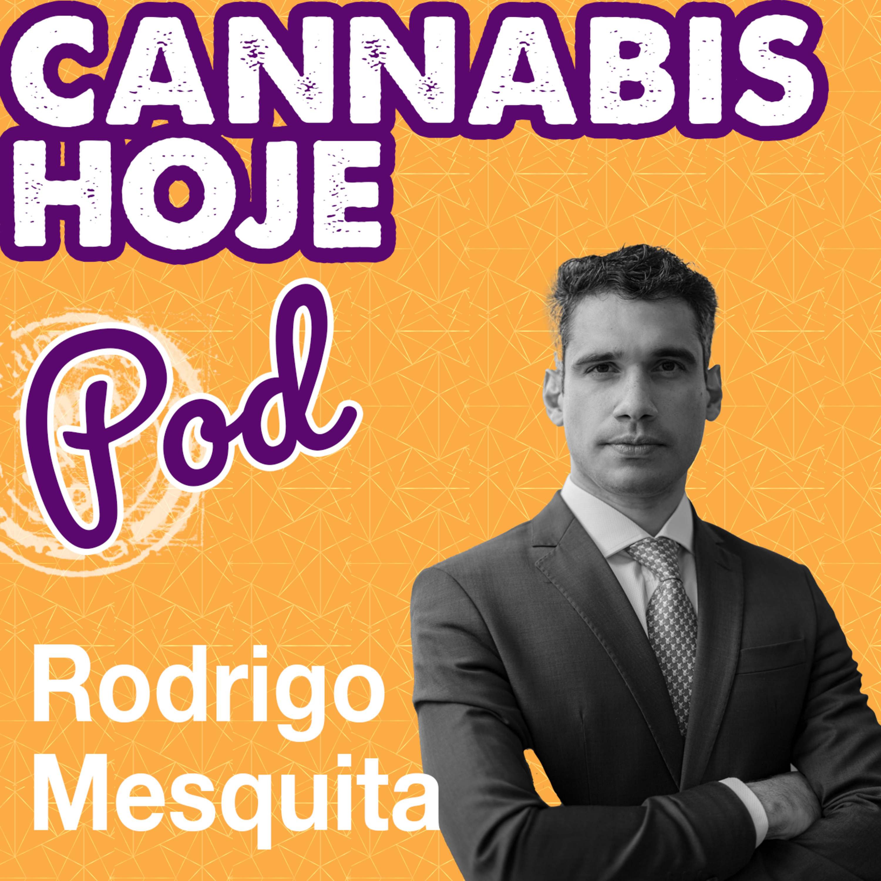 Cannabis Hoje Pod