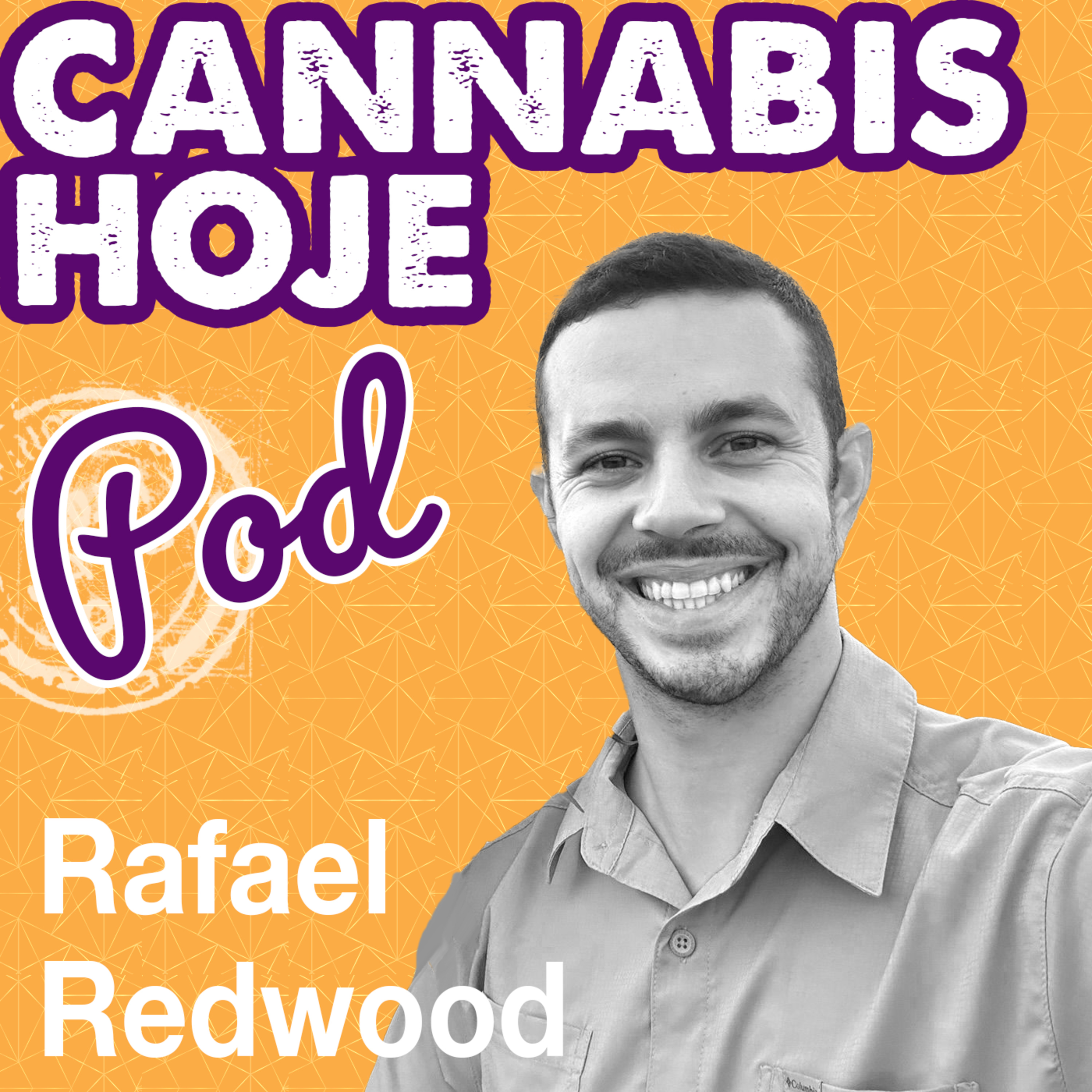 Cannabis Hoje Pod