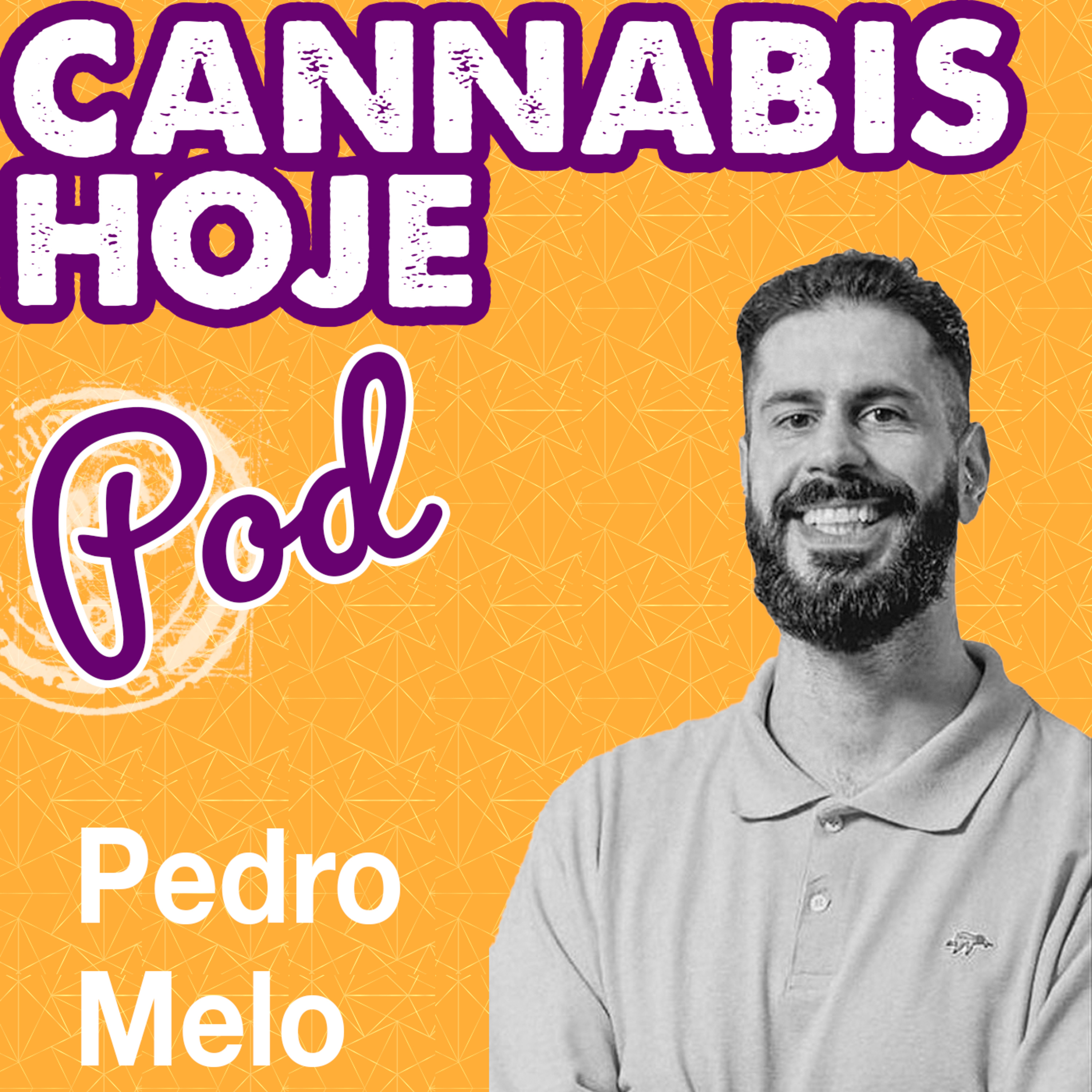 Cannabis Hoje Pod