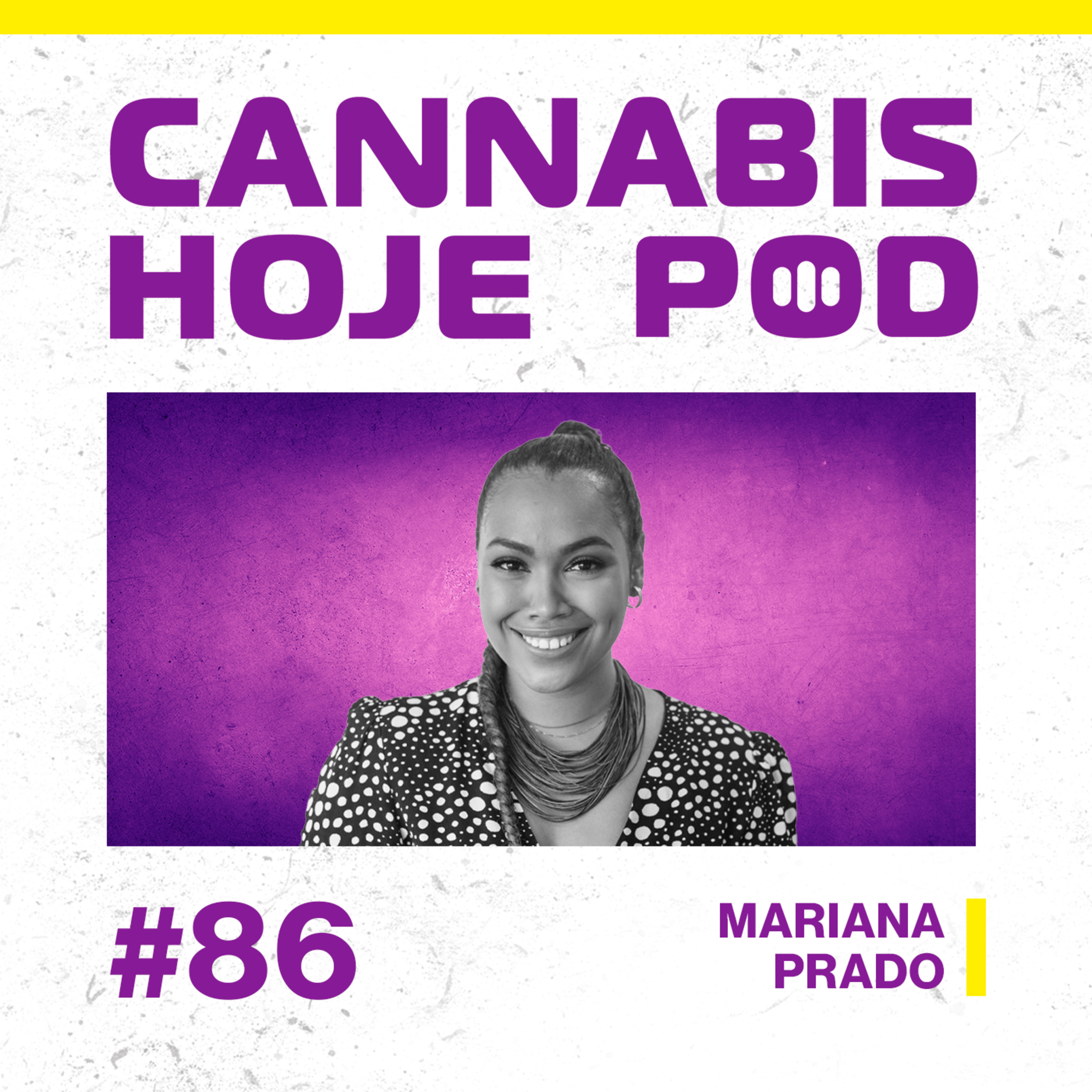 Cannabis Hoje Pod