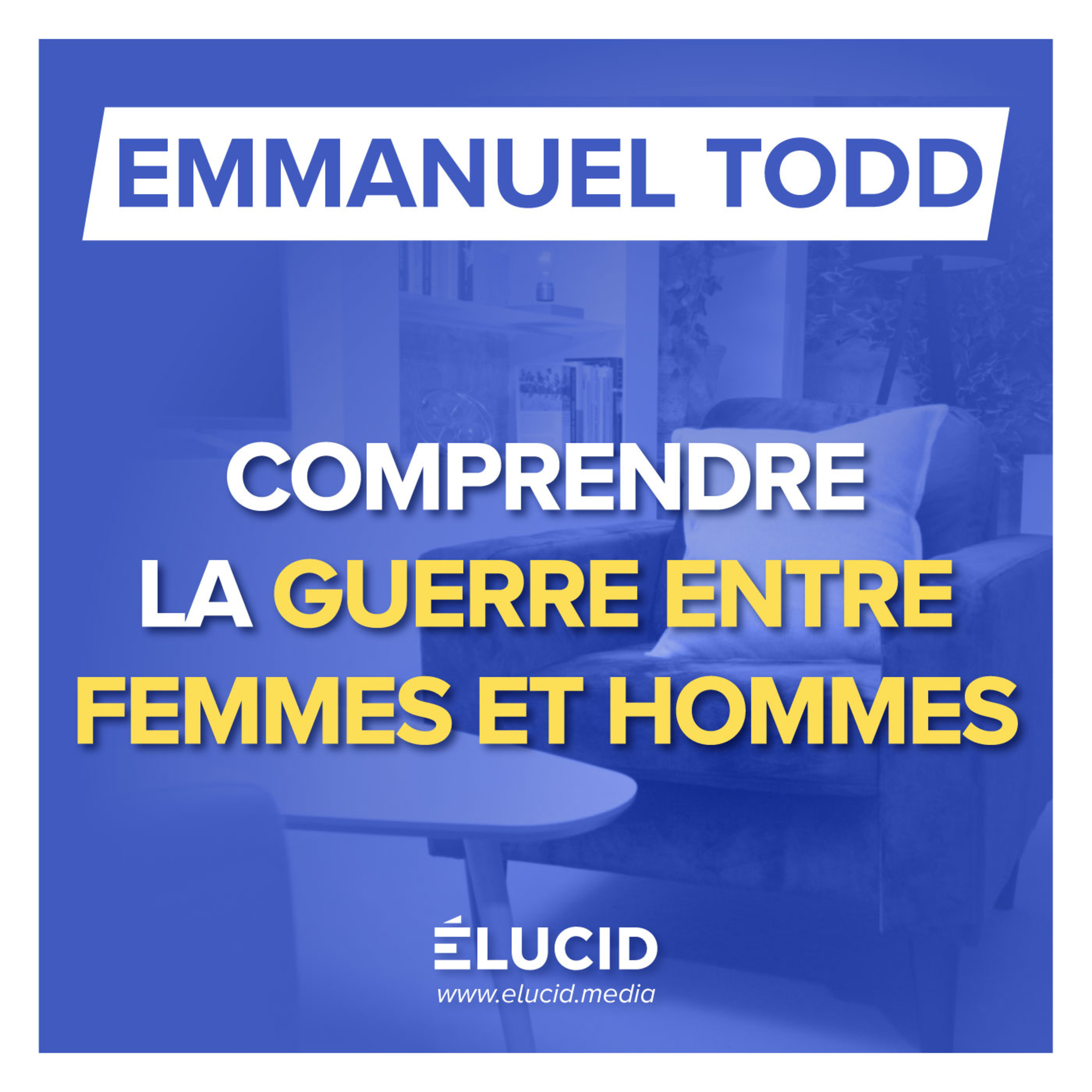 LA VRAIE HISTOIRE DES RELATIONS HOMMES FEMMES selon Emmanuel Todd episode artwork