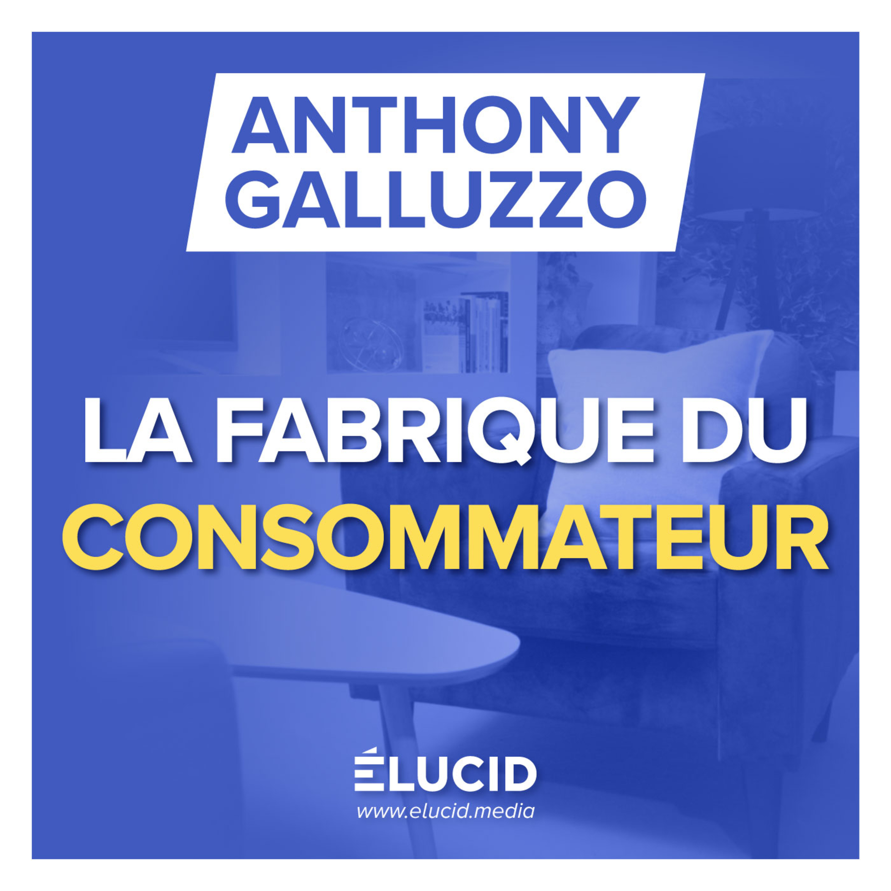 LA SOCIÉTÉ DE CONSOMMATION A TRANSFORMÉ L'INDIVIDU ET LE MONDE - Anthony Galluzzo episode artwork