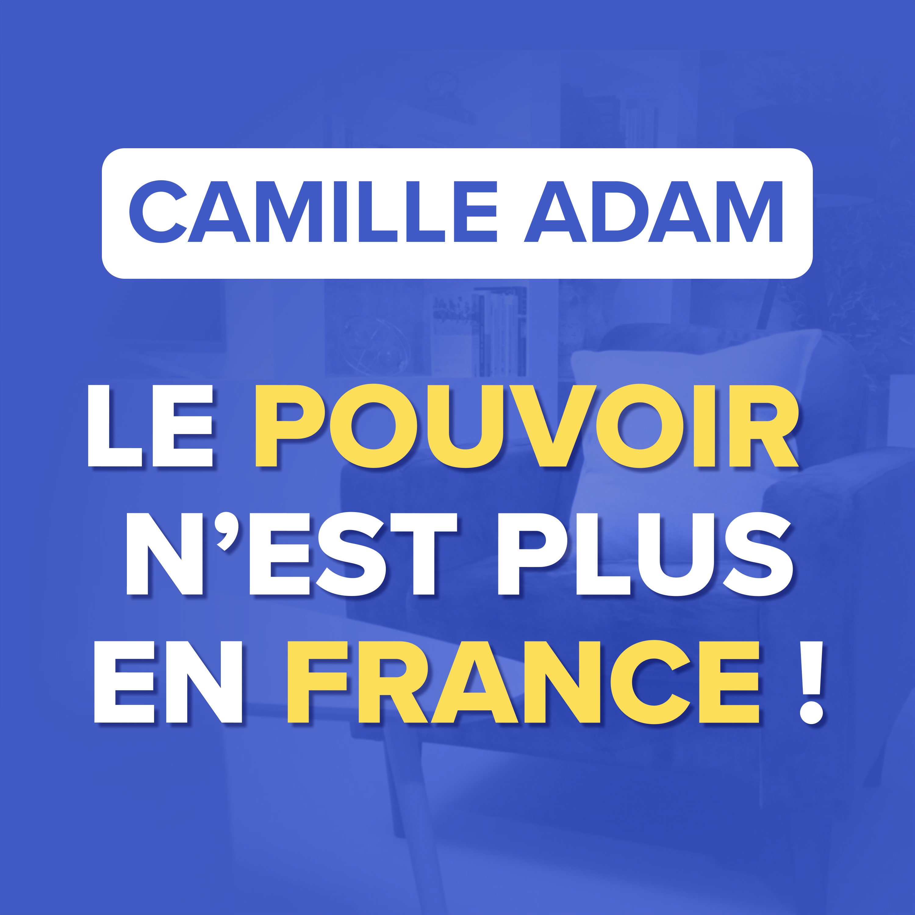 MOURIR POUR L’EUROPE : 40 ans de destruction obsessionnelle de la France - Camille Adam