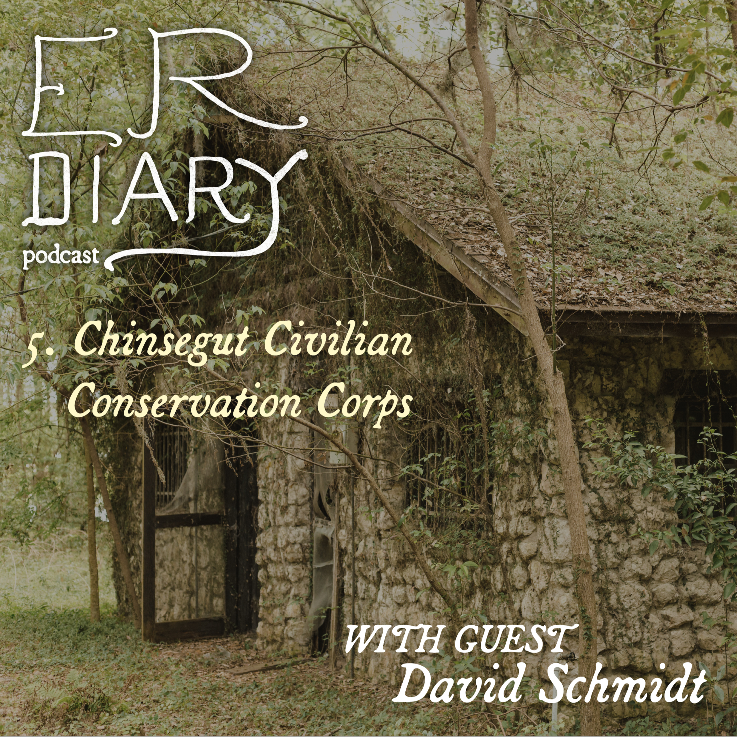 Elizabeth Robins Diary Podcast