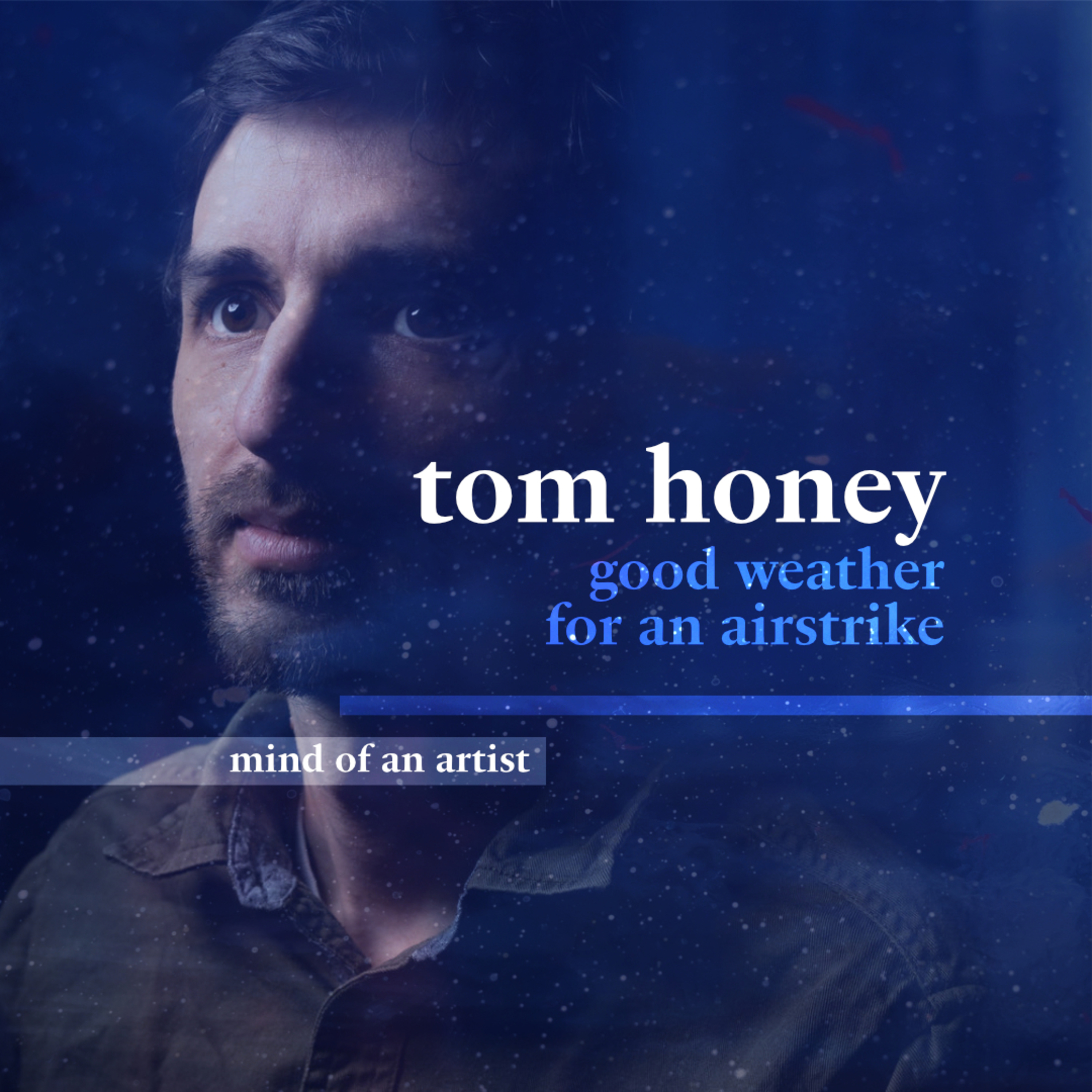 tom honey • good weather for an airstrike • mind of an artist