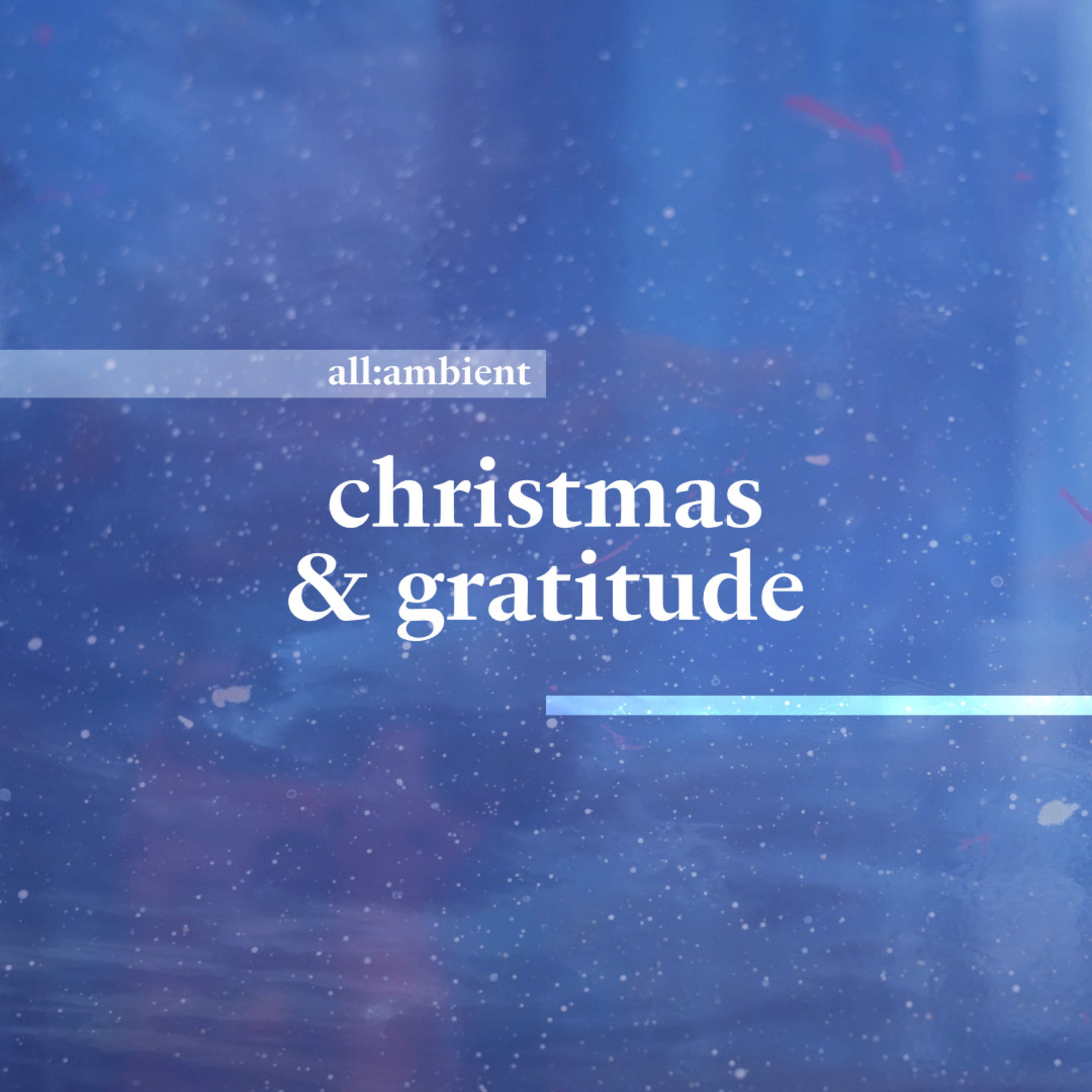christmas & gratitude