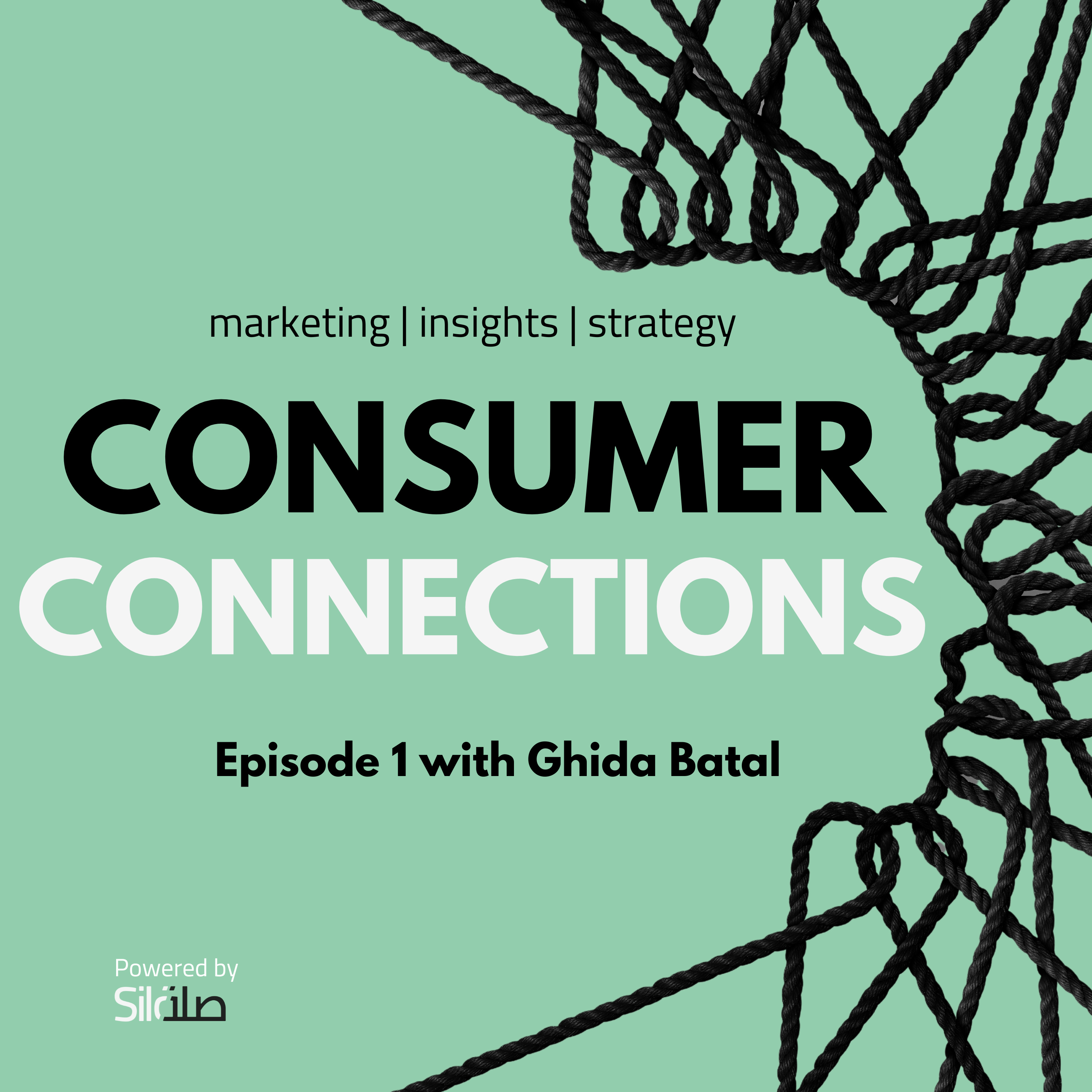 Consumer Connections