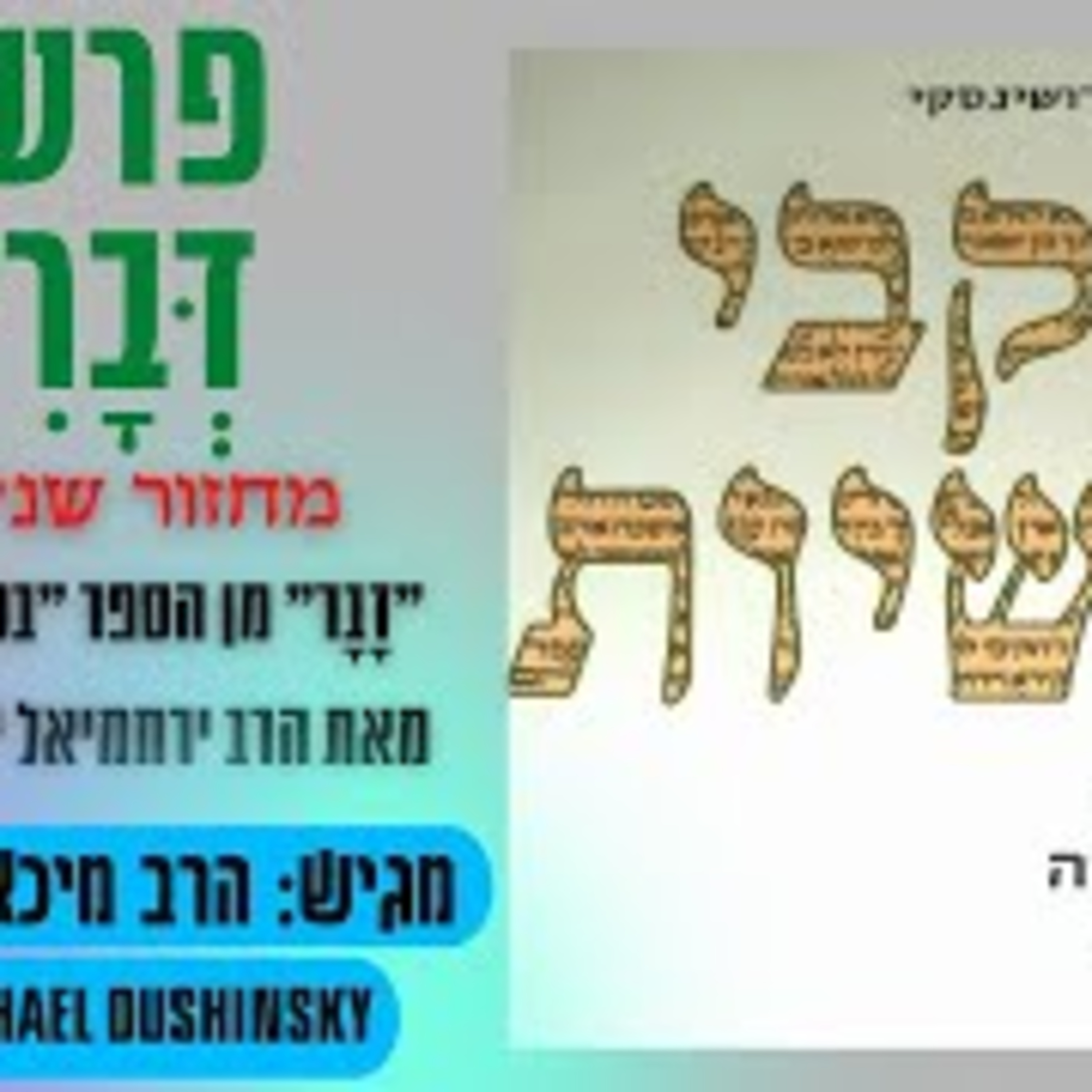 Rabbi Michael Dushinsky