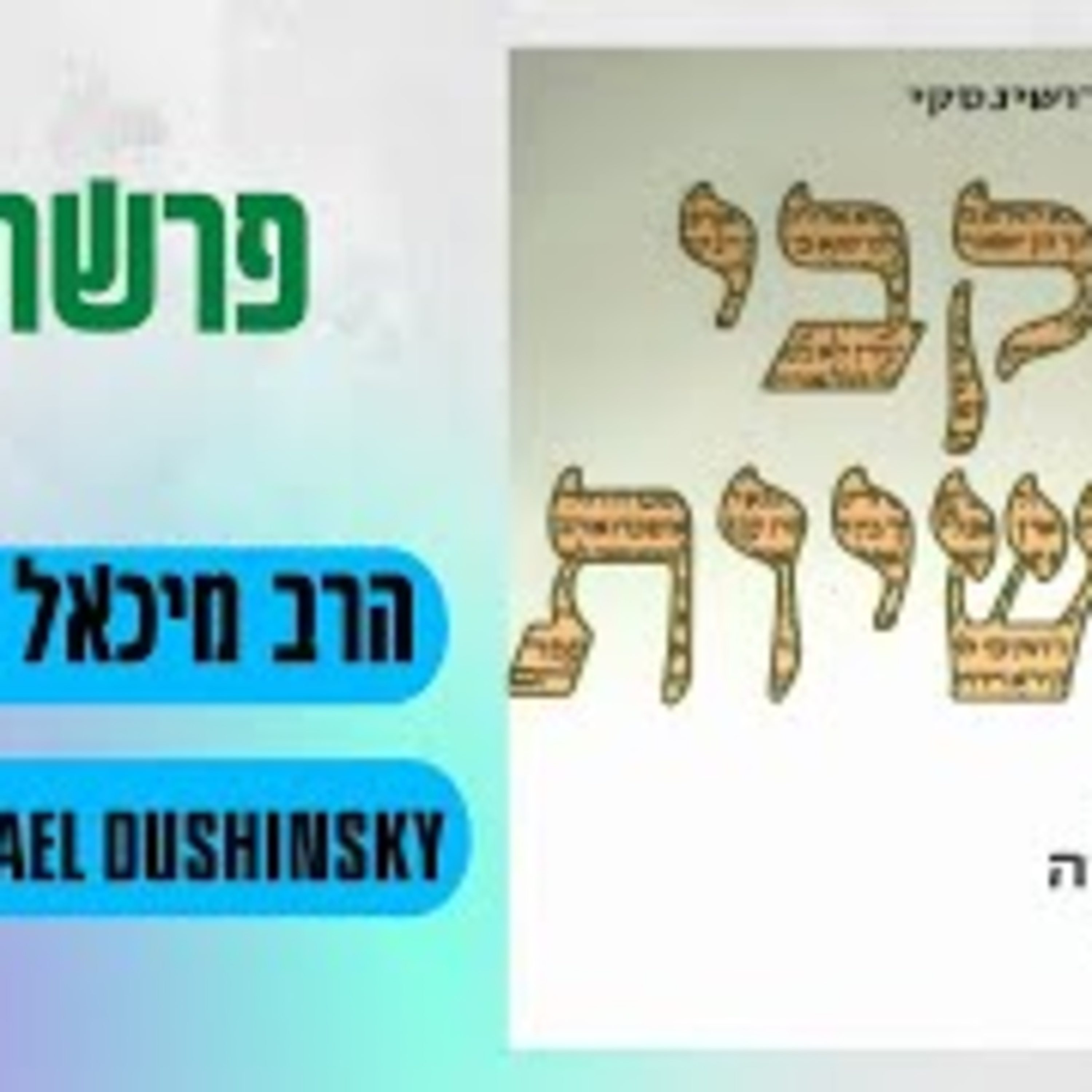 Rabbi Michael Dushinsky
