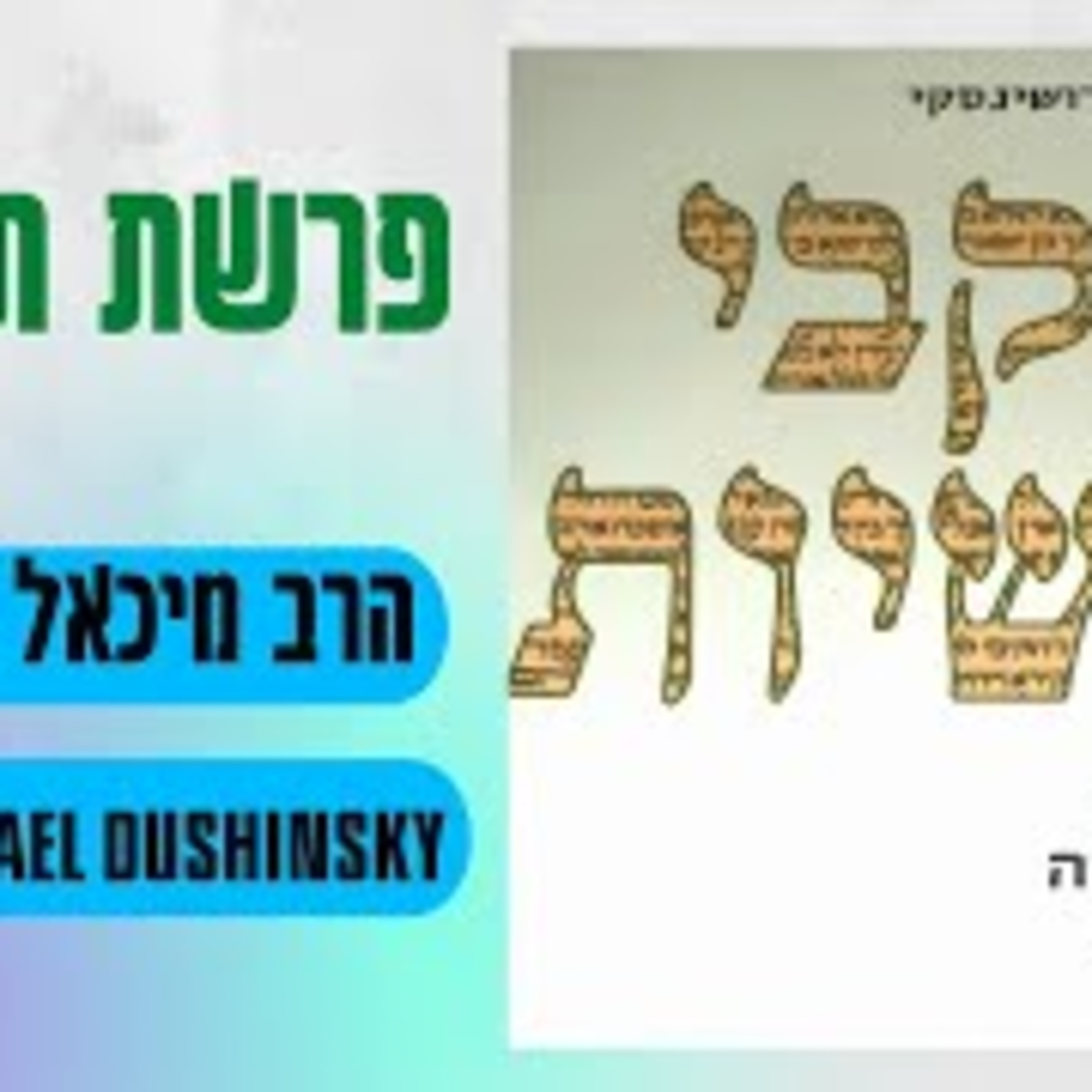 Rabbi Michael Dushinsky