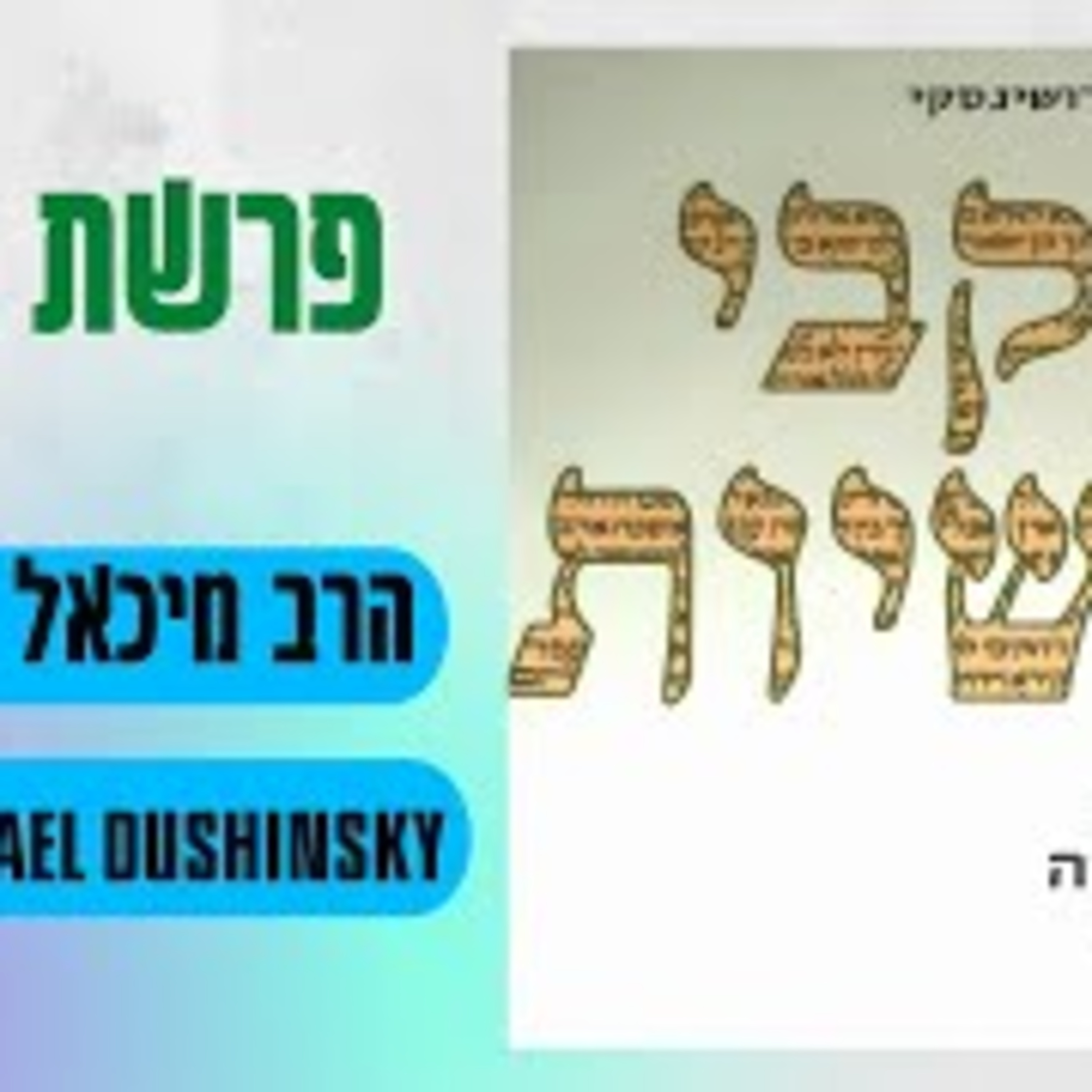 Rabbi Michael Dushinsky