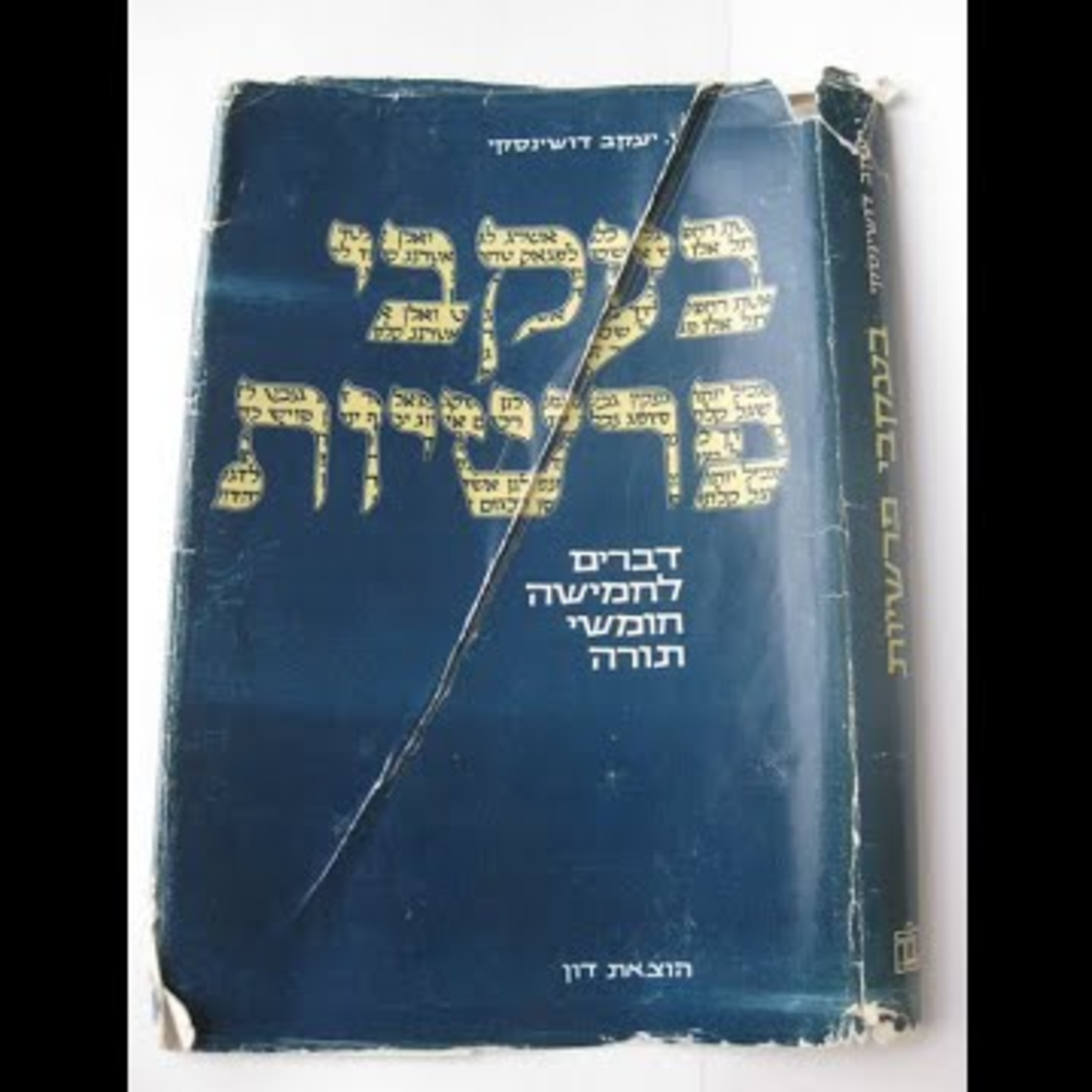 Rabbi Michael Dushinsky