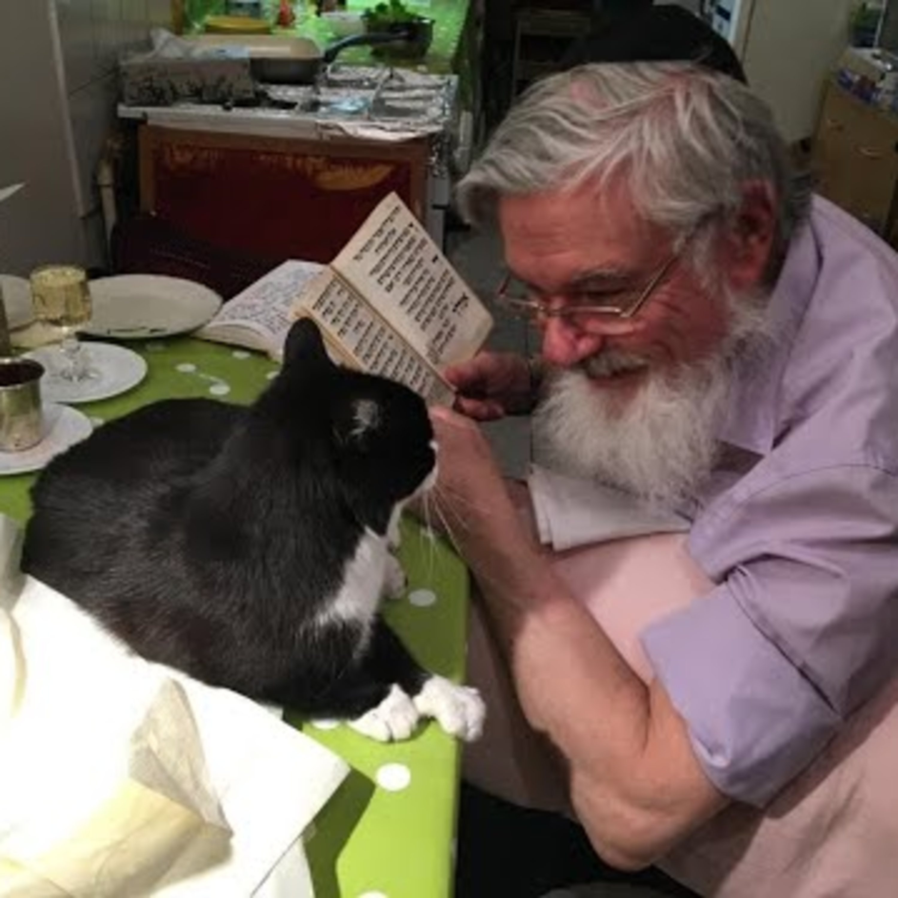 Rabbi Michael Dushinsky