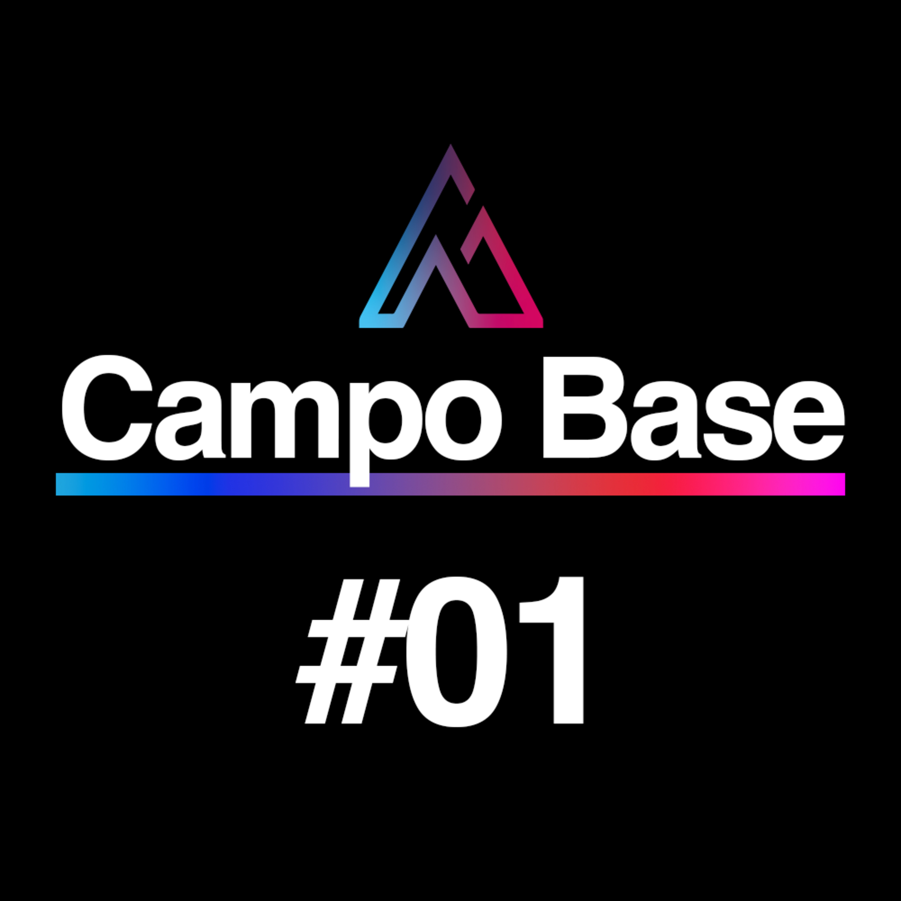 Campo Base. Fundraising, Innovación y Marketing para el Tercer Sector.