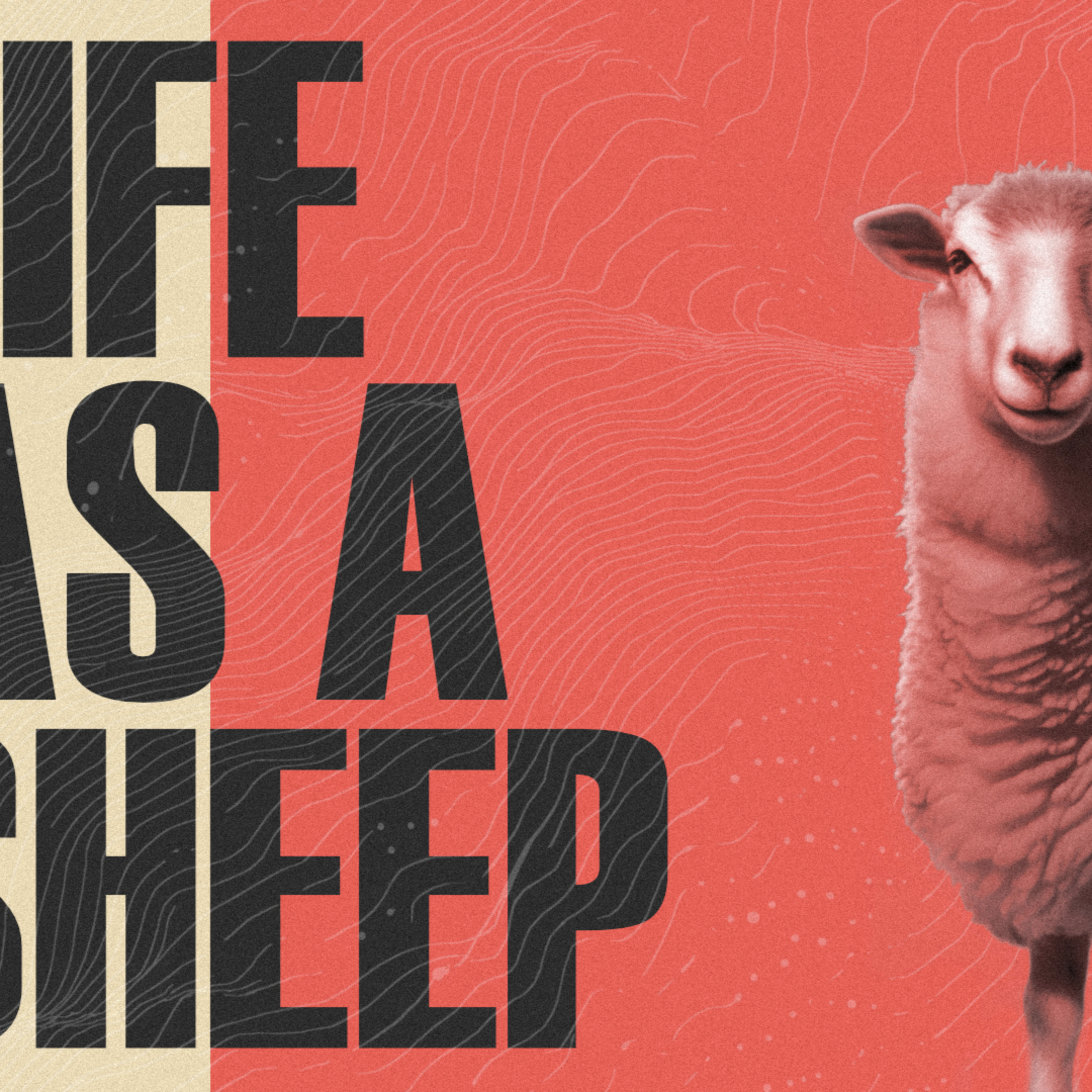 LifePointe Alliance Church