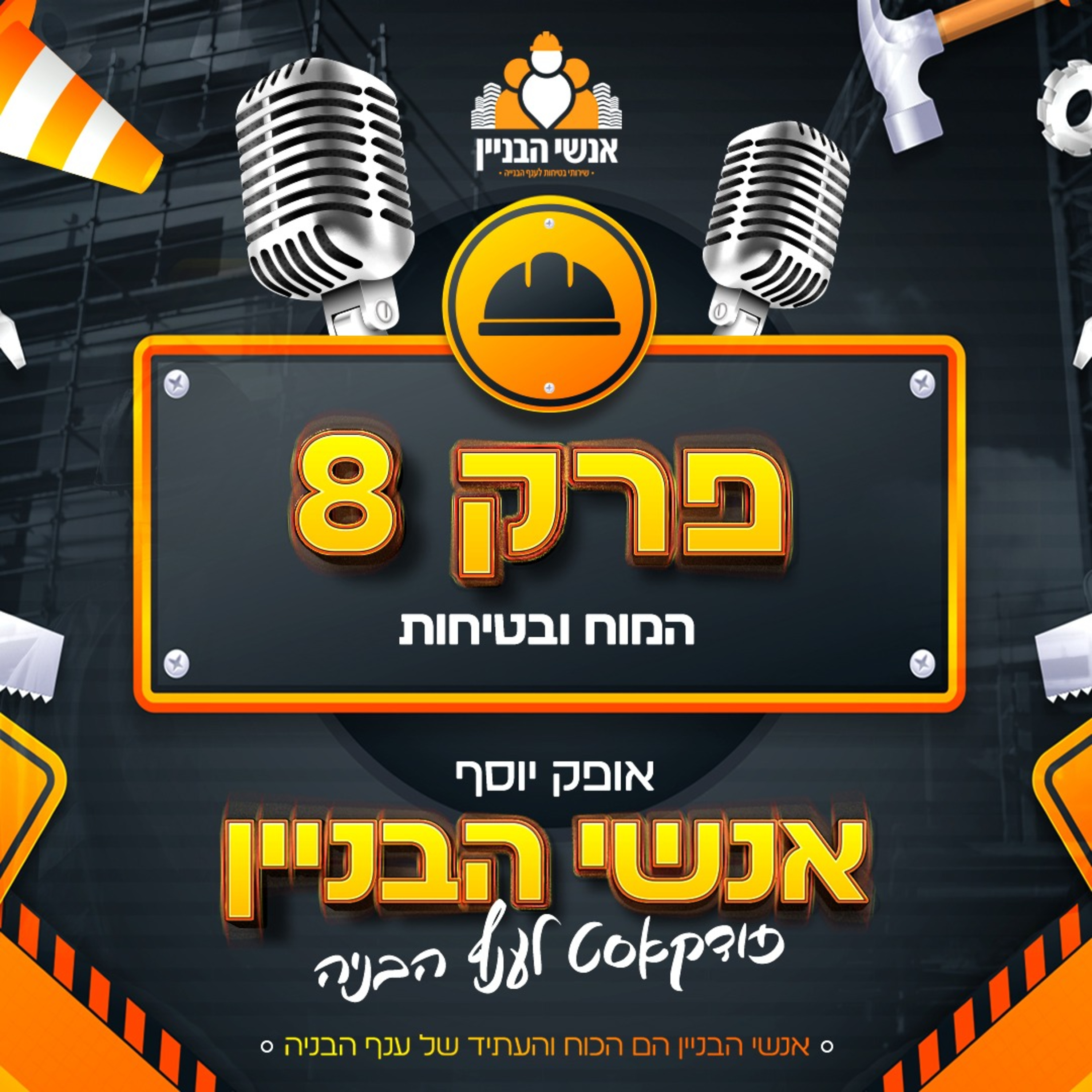 פרק 8 - המוח והבטיחות episode artwork