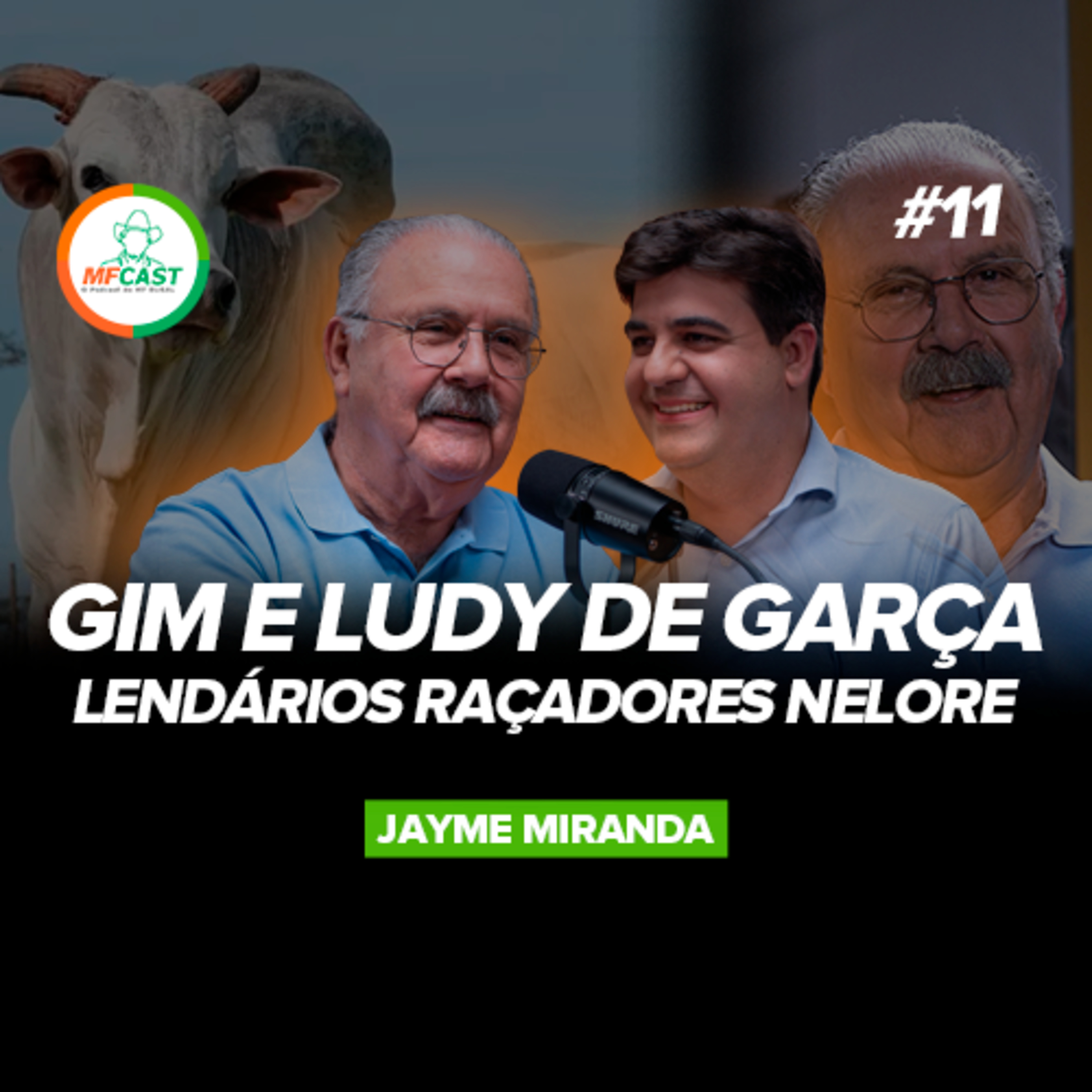 NELORE: TOUROS FUNDAMENTAIS PARA A FORMAÇÃO DA RAÇA NO BRASIL (Jayme Miranda) - MF CAST 11 episode artwork